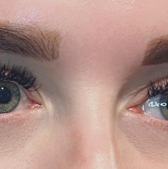 ladybuglashes lashglue lashtrays lashadhesive glueretention cloverlashes wlashes yylashes premades promades lashes