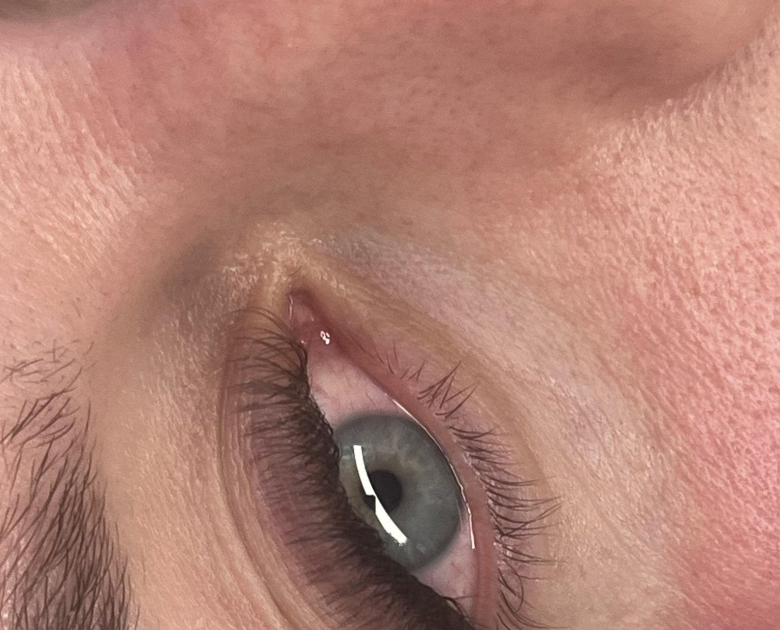 ladybuglashes lashglue lashtrays lashadhesive glueretention cloverlashes wlashes yylashes premades promades lashes