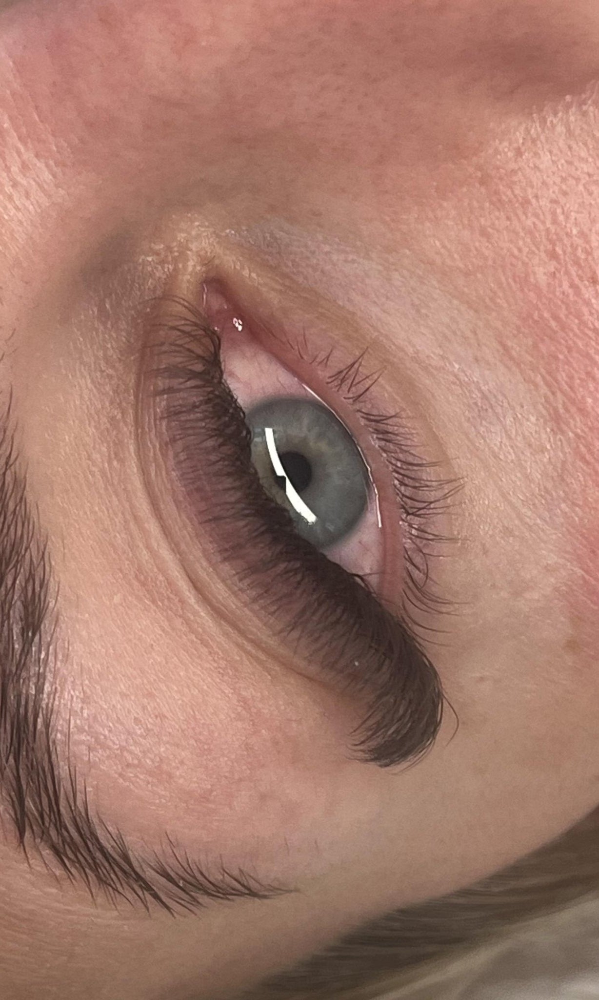 ladybuglashes lashglue lashtrays lashadhesive glueretention cloverlashes wlashes yylashes premades promades lashes