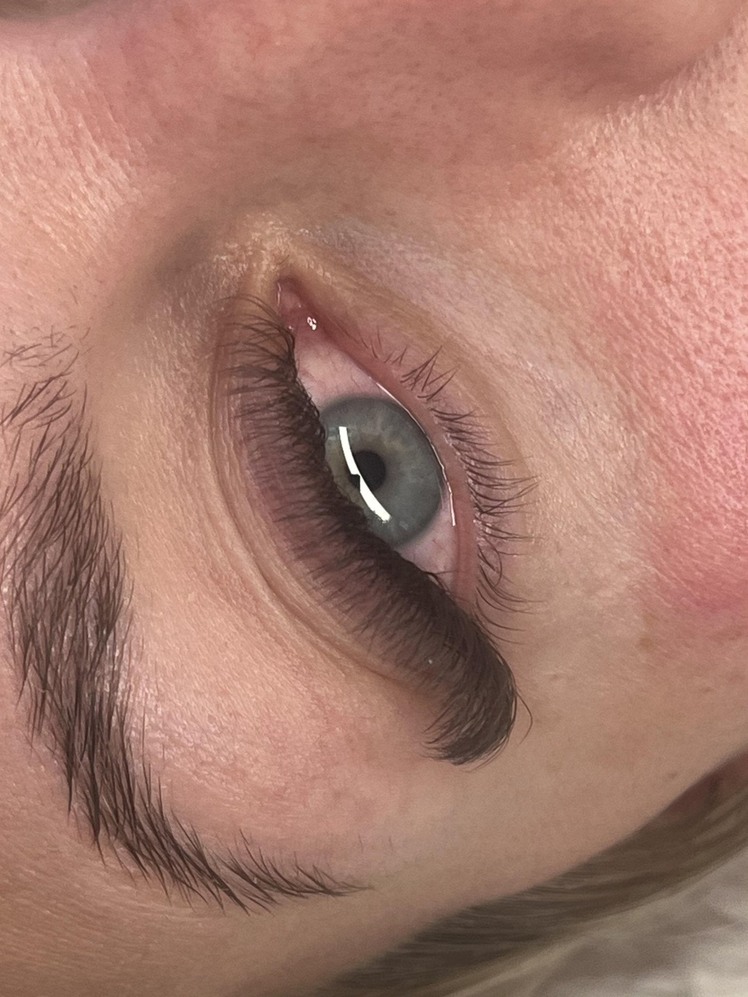 ladybuglashes lashglue lashtrays lashadhesive glueretention cloverlashes wlashes yylashes premades promades lashes