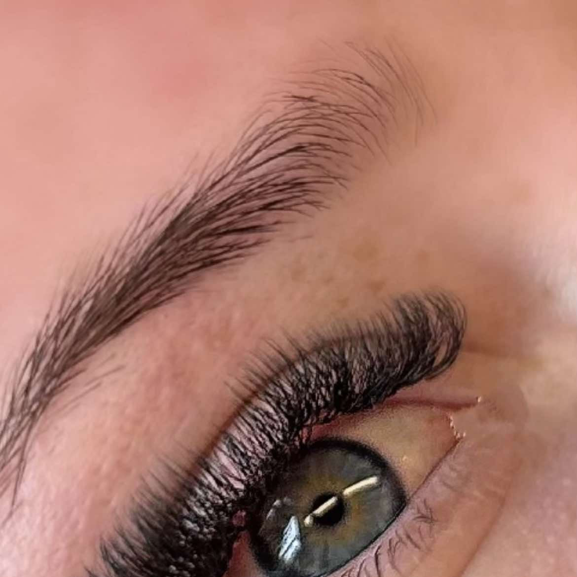 8D Clover Lashes 16 row mixed tray