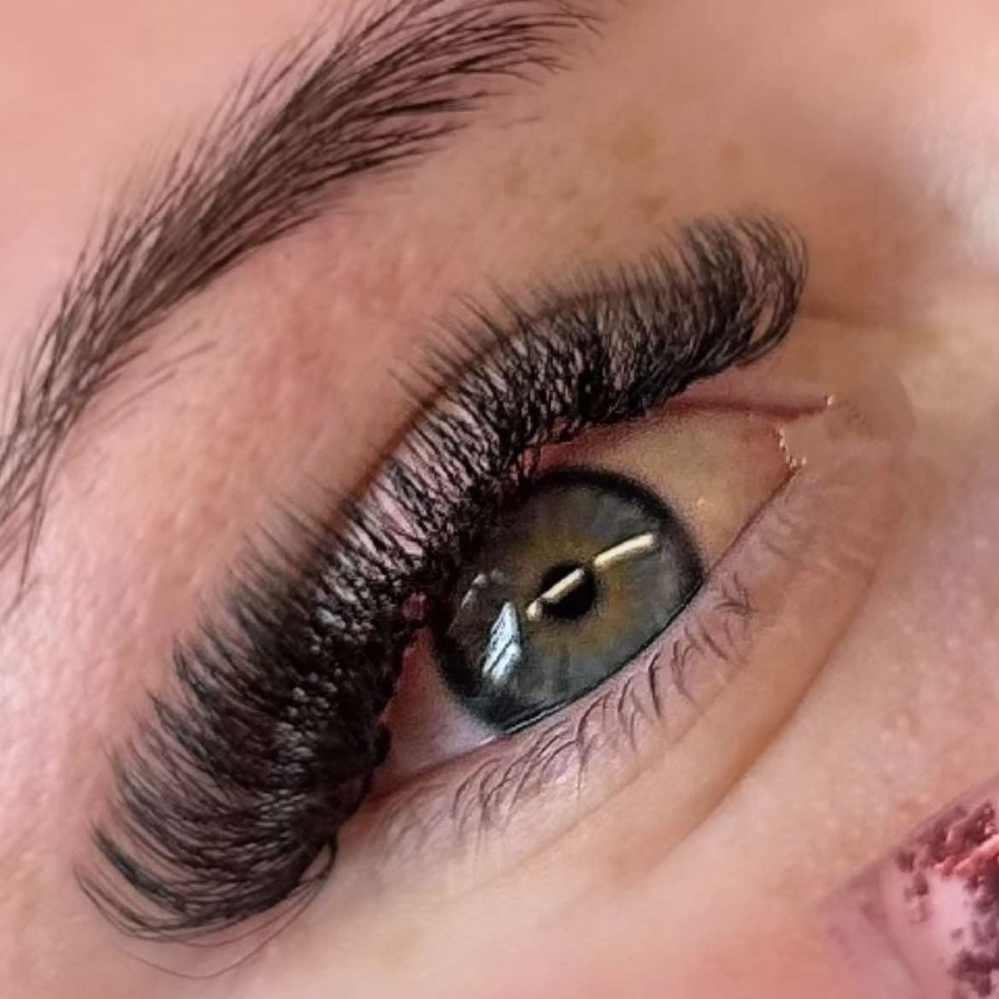 8D Clover Lashes 16 row mixed tray