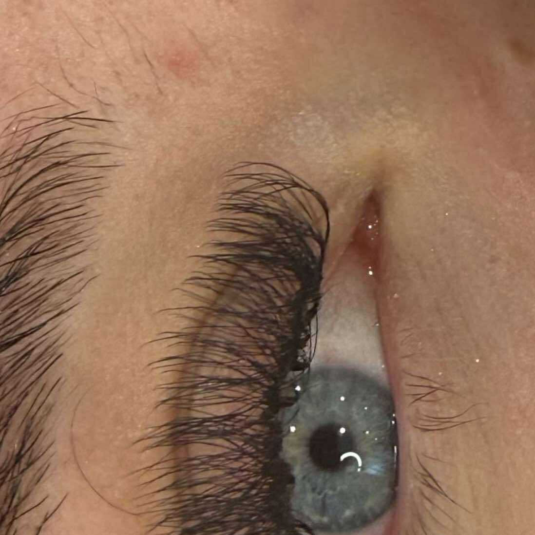 8D Clover Lashes 16 row mixed tray