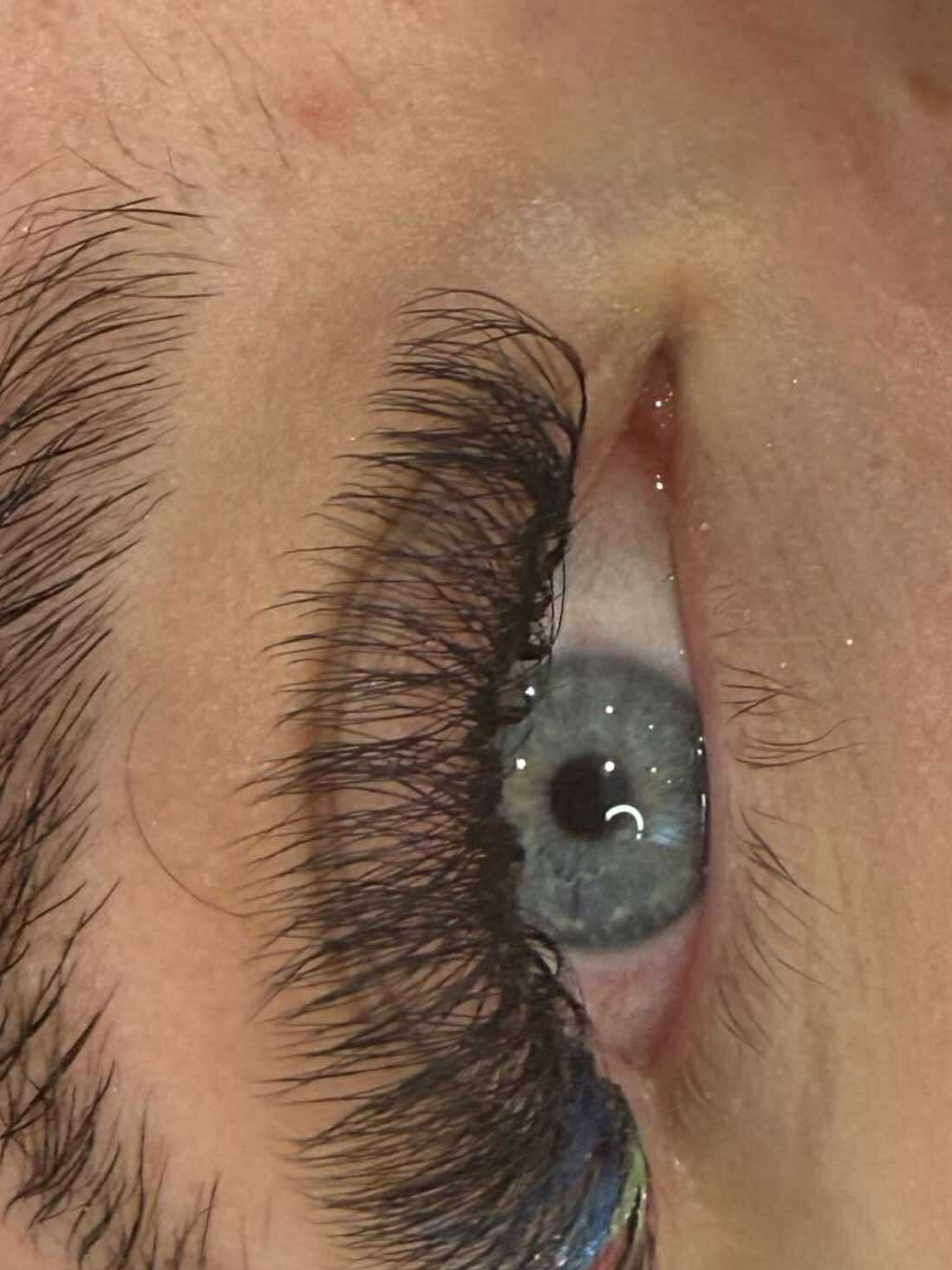 8D Clover Lashes 16 row mixed tray