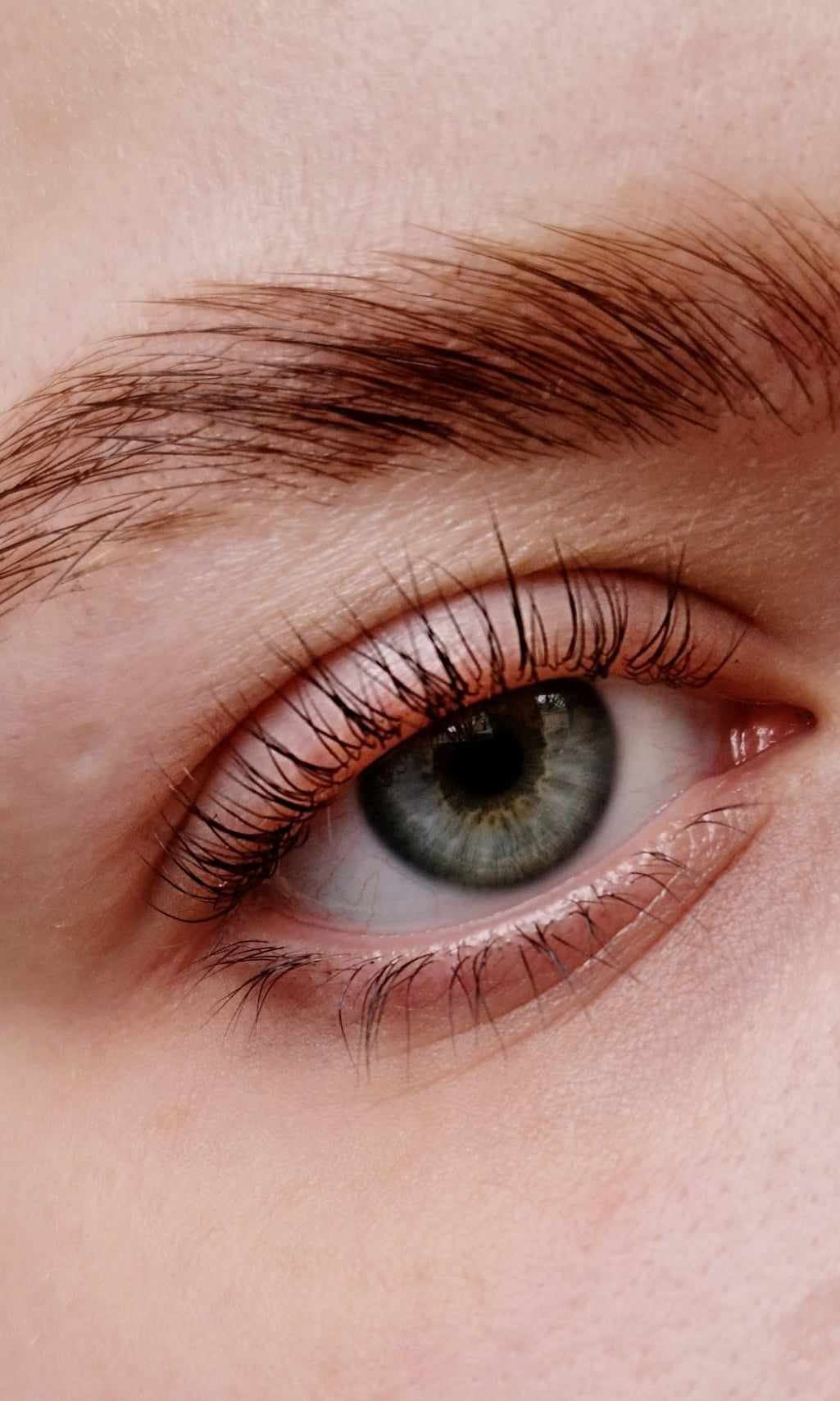 Express Cysteamine System Dual Lash Lift + Brow Lamination Sachet System