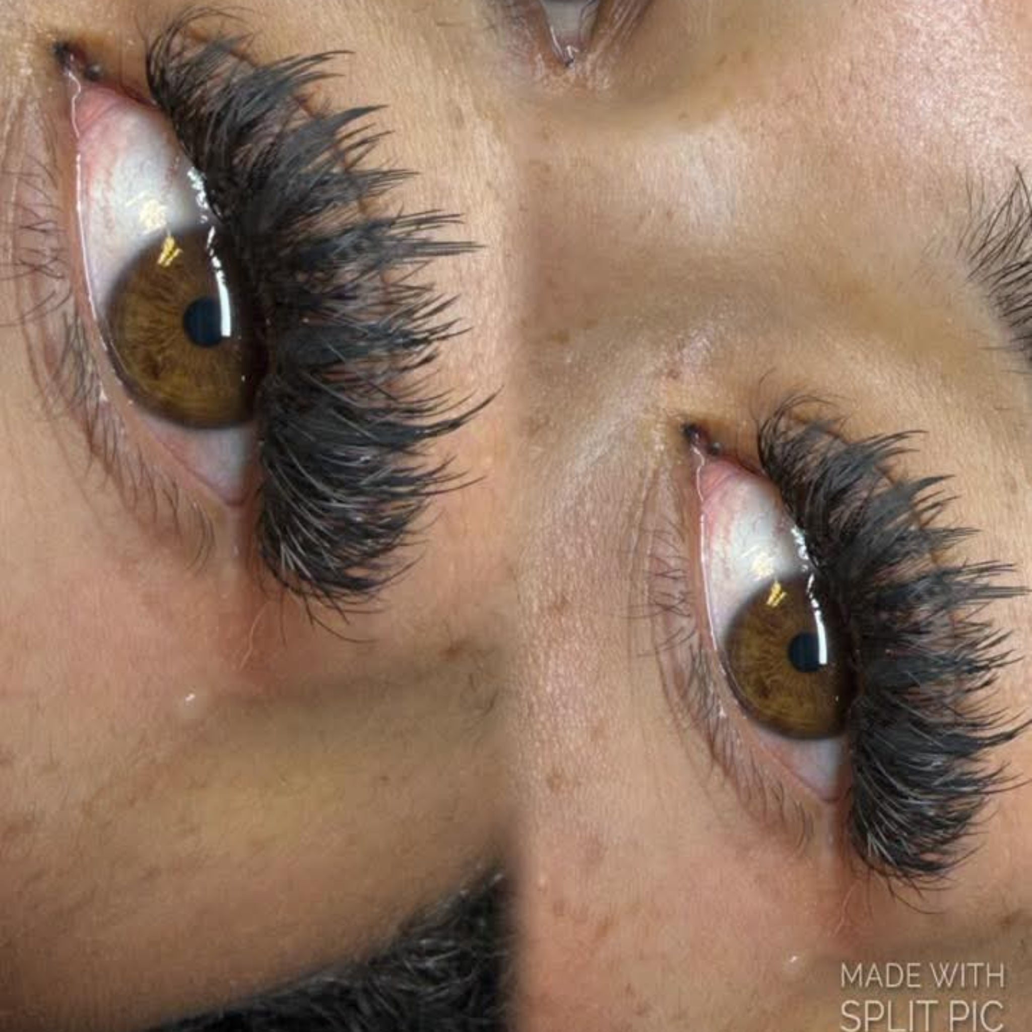 Close-up of Anime Feather lash extension set on brown eye showing dramatic feather spike volume