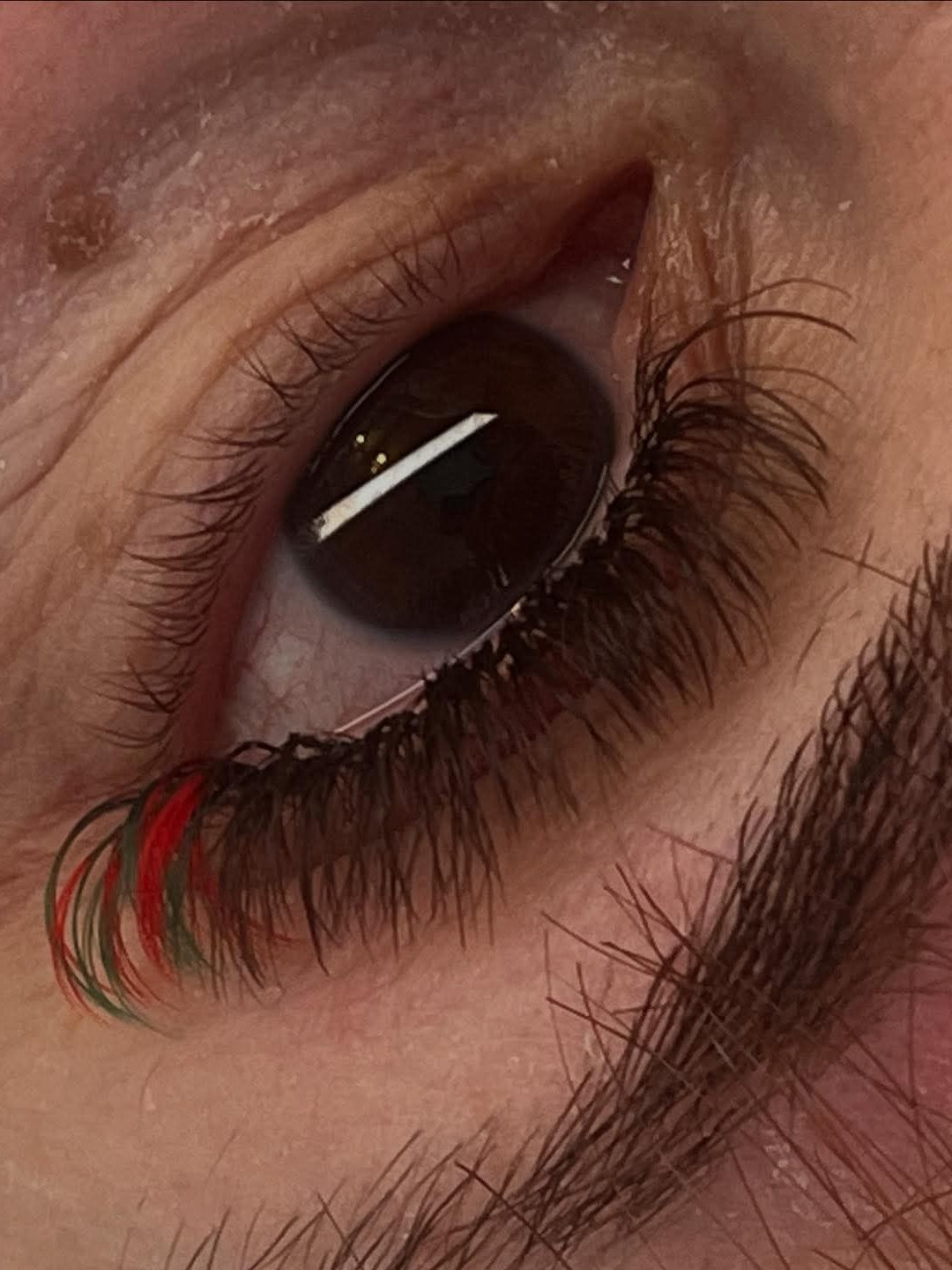 🌈 Bold Colour Volume Lashes 🌈 0.05mm 5-Row Tray 10–14mm Mix