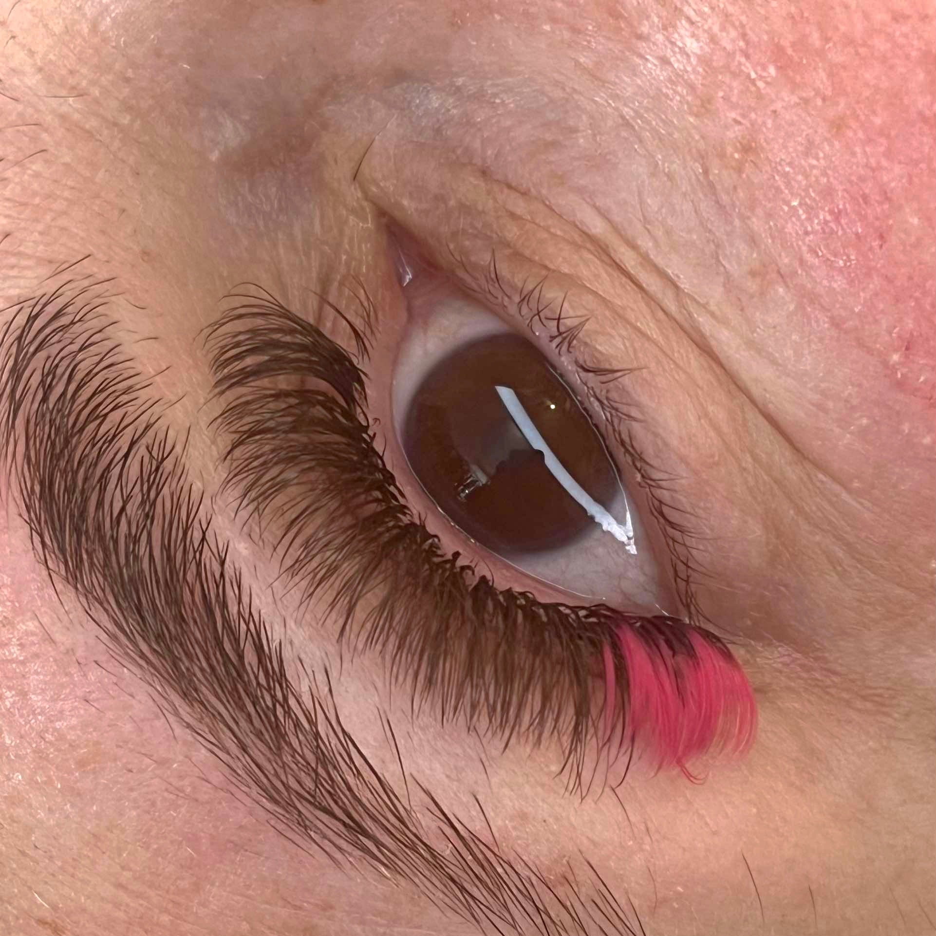 🌈 Bold Colour Volume Lashes 🌈 0.05mm 5-Row Tray 10–14mm Mix