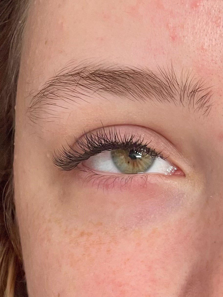 ladybuglashes lashglue lashtrays lashadhesive glueretention cloverlashes wlashes yylashes premades promades lashes