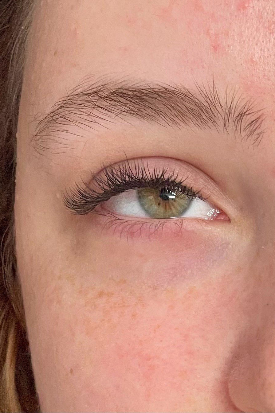 ladybuglashes lashglue lashtrays lashadhesive glueretention cloverlashes wlashes yylashes premades promades lashes