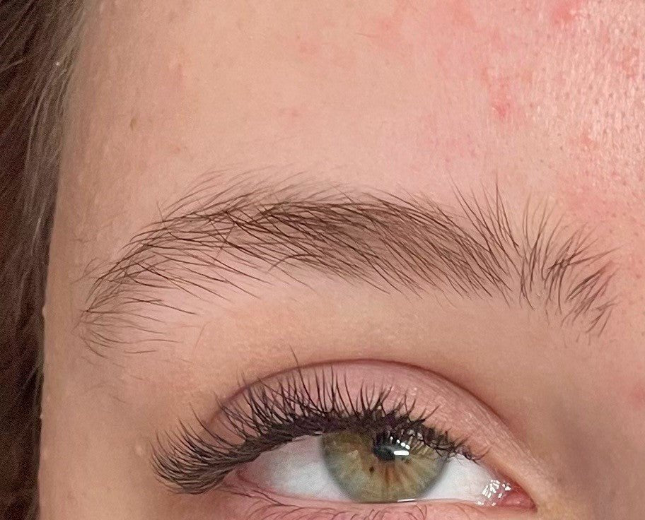 ladybuglashes lashglue lashtrays lashadhesive glueretention cloverlashes wlashes yylashes premades promades lashes