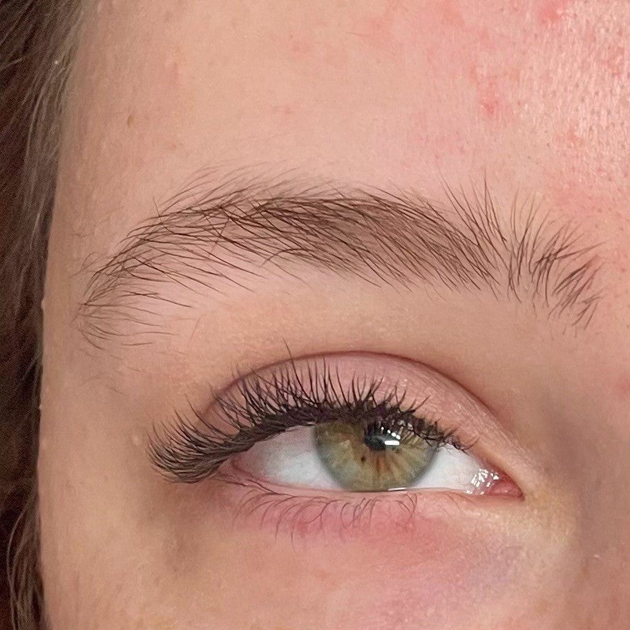 ladybuglashes lashglue lashtrays lashadhesive glueretention cloverlashes wlashes yylashes premades promades lashes