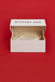 Ladybug Lashes Mystery box £25