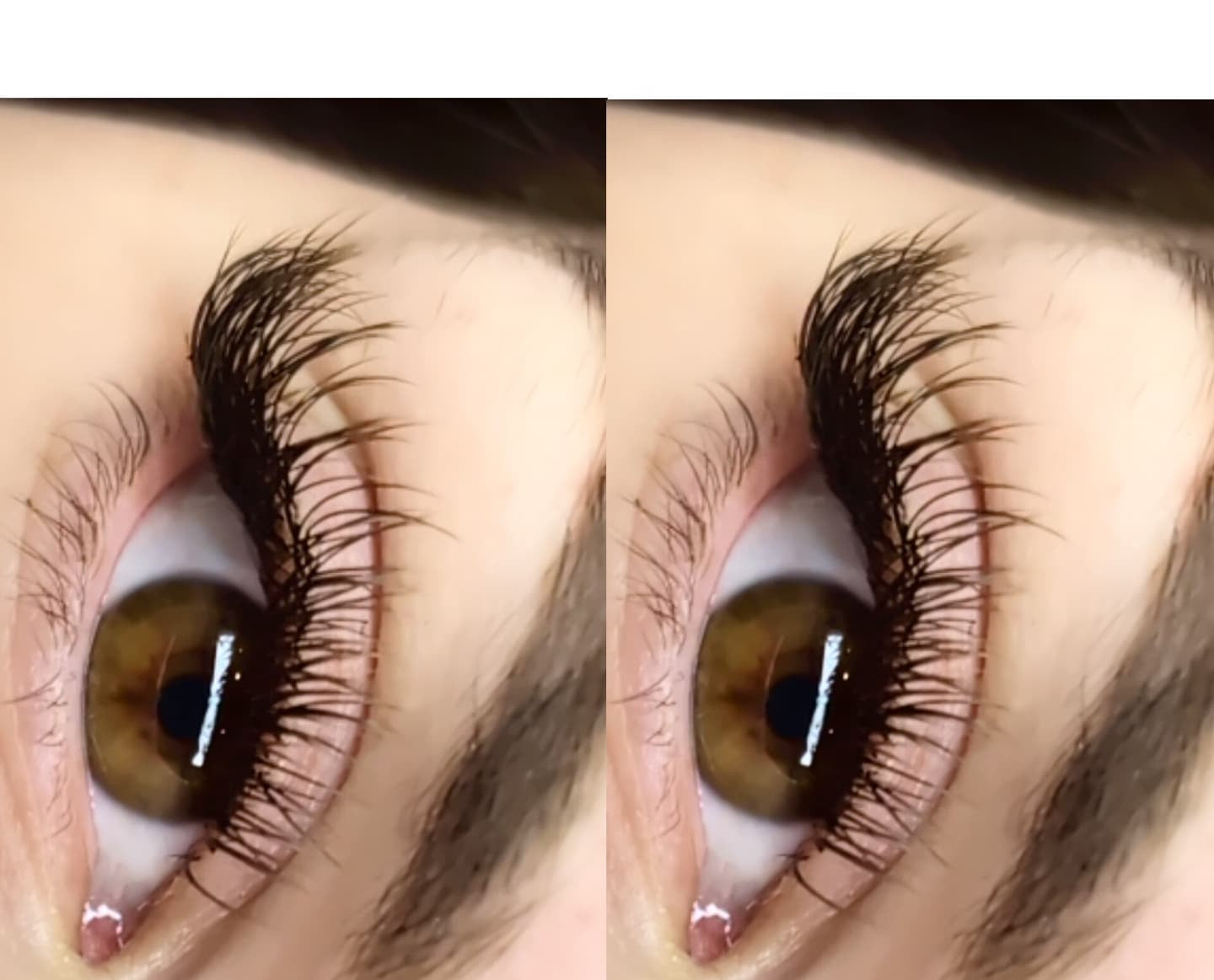 Cashmere Flat Classics – 16 Row Mixed Tray in Brown 🤎🤎 or Caramel 🤎🤎