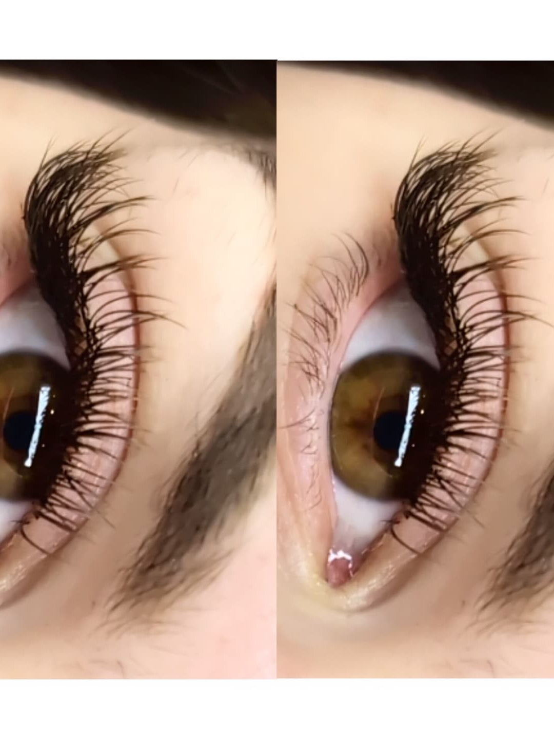 Cashmere Flat Classics – 16 Row Mixed Tray in Brown 🤎🤎 or Caramel 🤎🤎