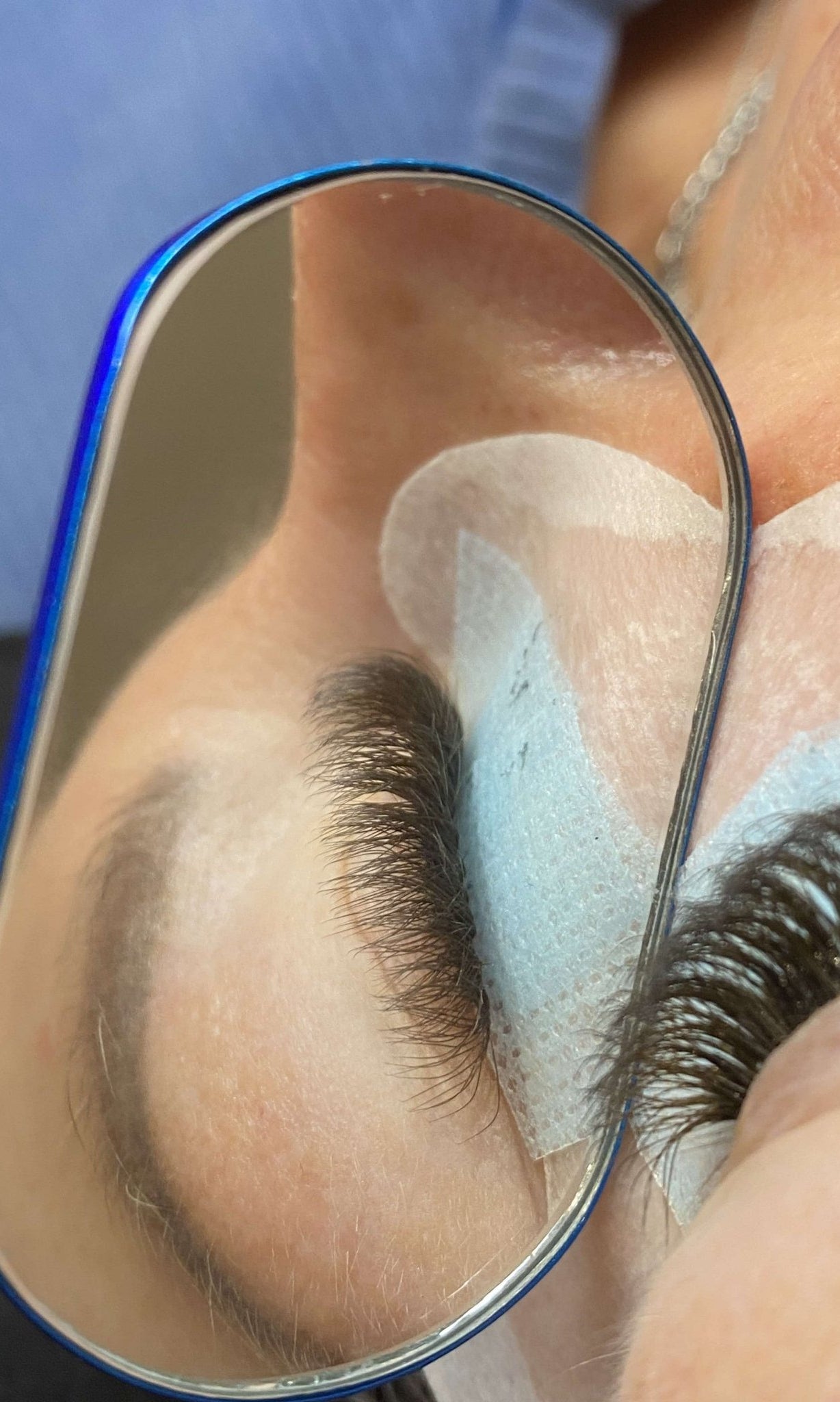 ladybuglashes lashglue lashtrays lashadhesive glueretention cloverlashes wlashes yylashes premades promades lashes