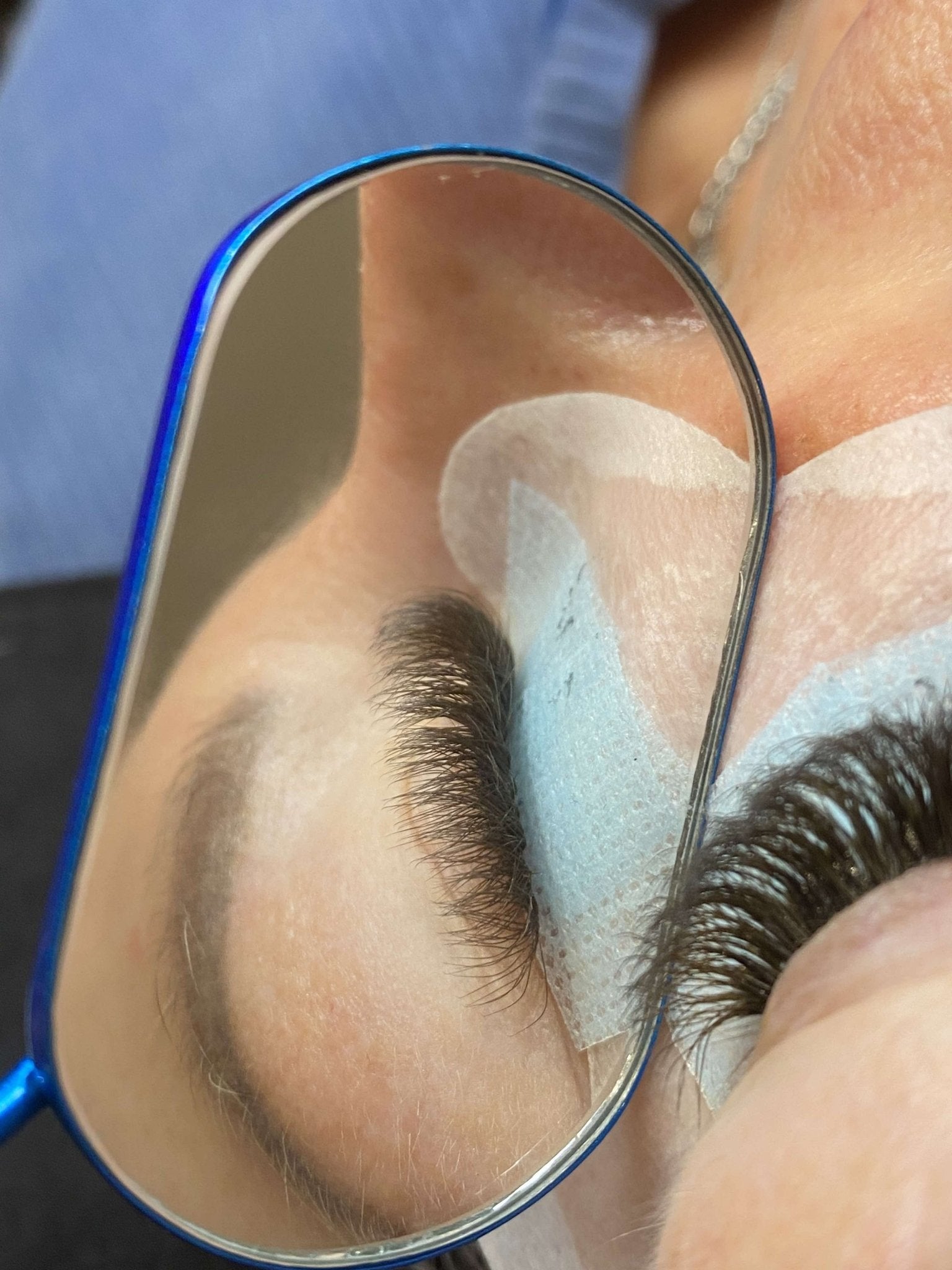 ladybuglashes lashglue lashtrays lashadhesive glueretention cloverlashes wlashes yylashes premades promades lashes