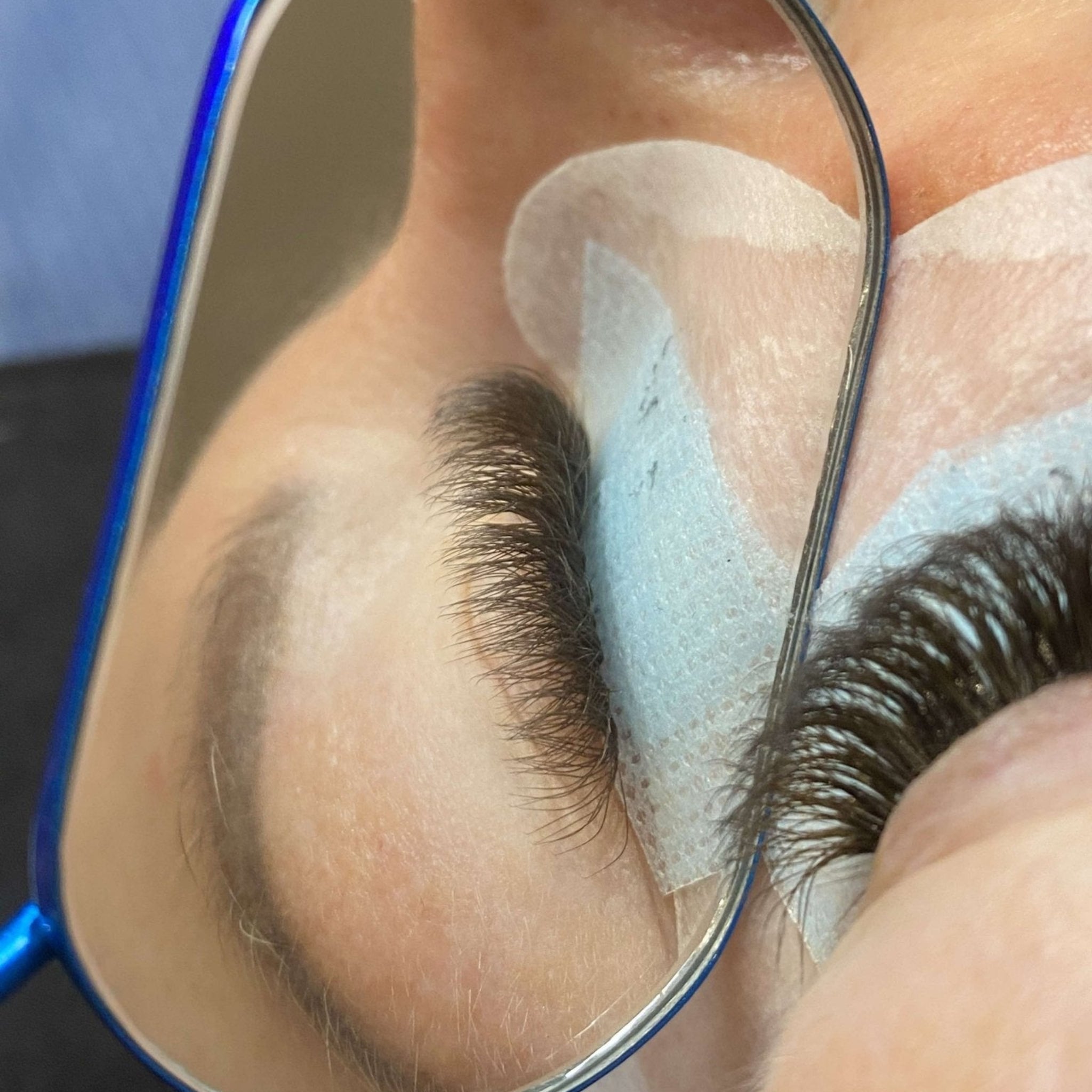 ladybuglashes lashglue lashtrays lashadhesive glueretention cloverlashes wlashes yylashes premades promades lashes