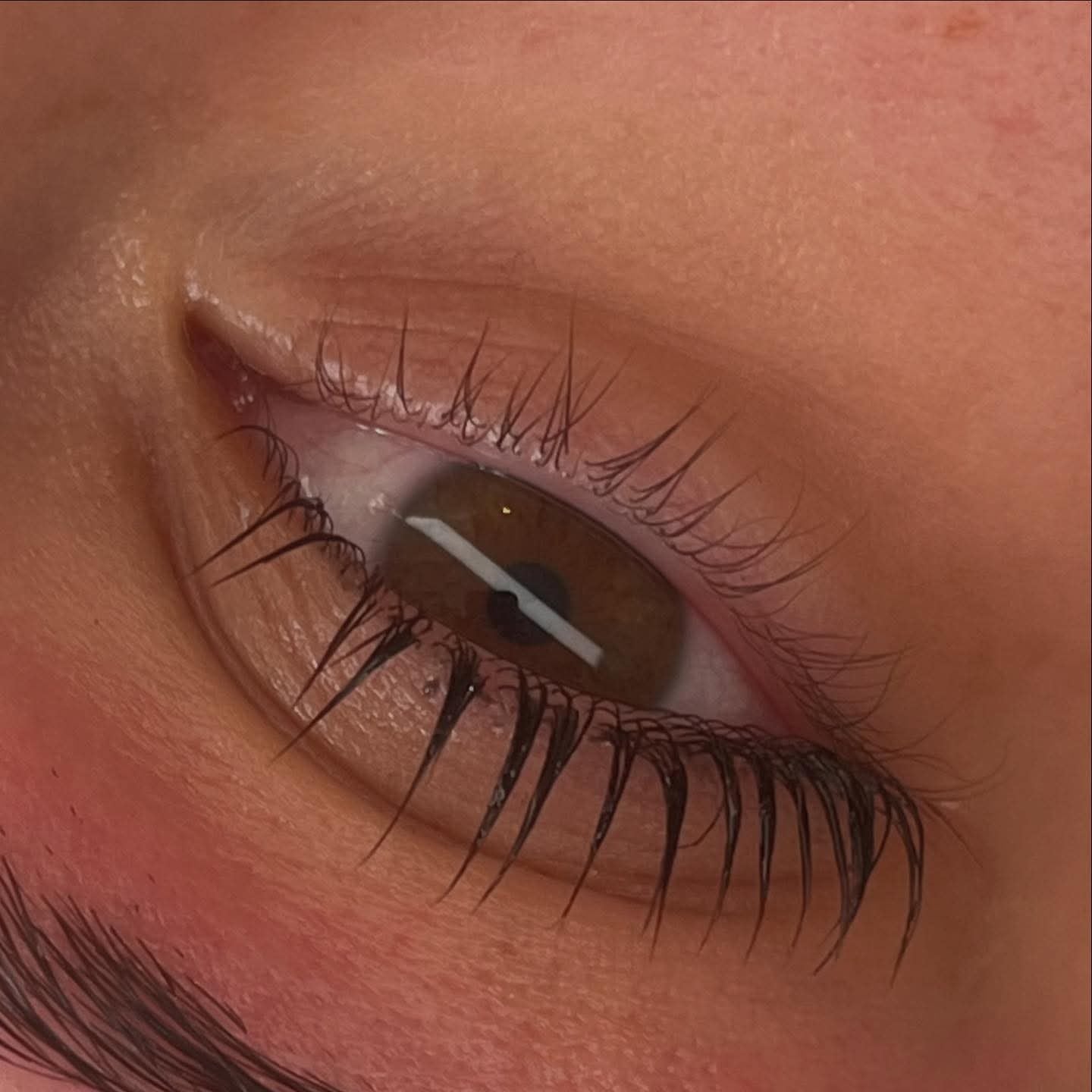 Flutter and Frame Lash & Brow Lamination Sachets – TGA