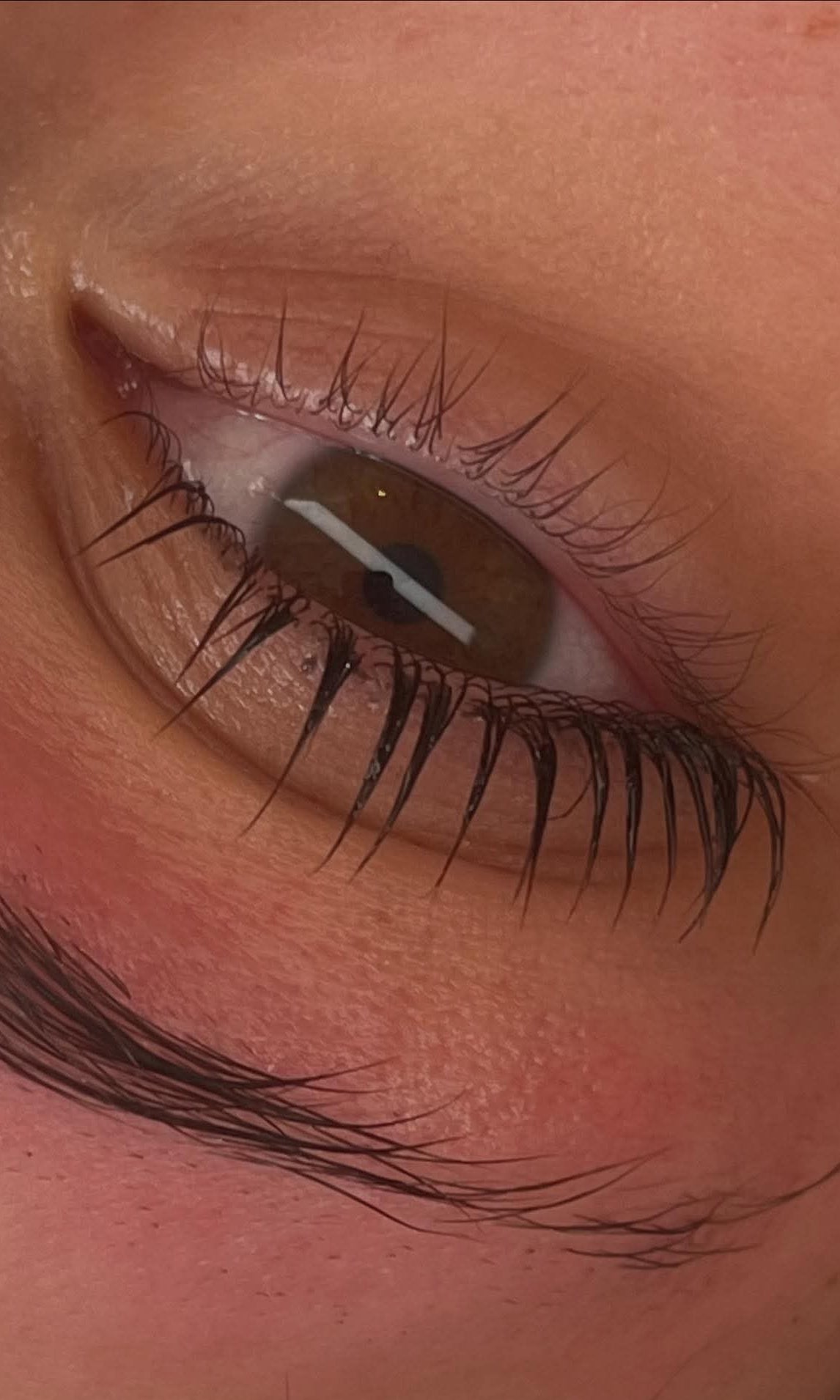 Flutter and Frame Lash & Brow Lamination Sachets – TGA