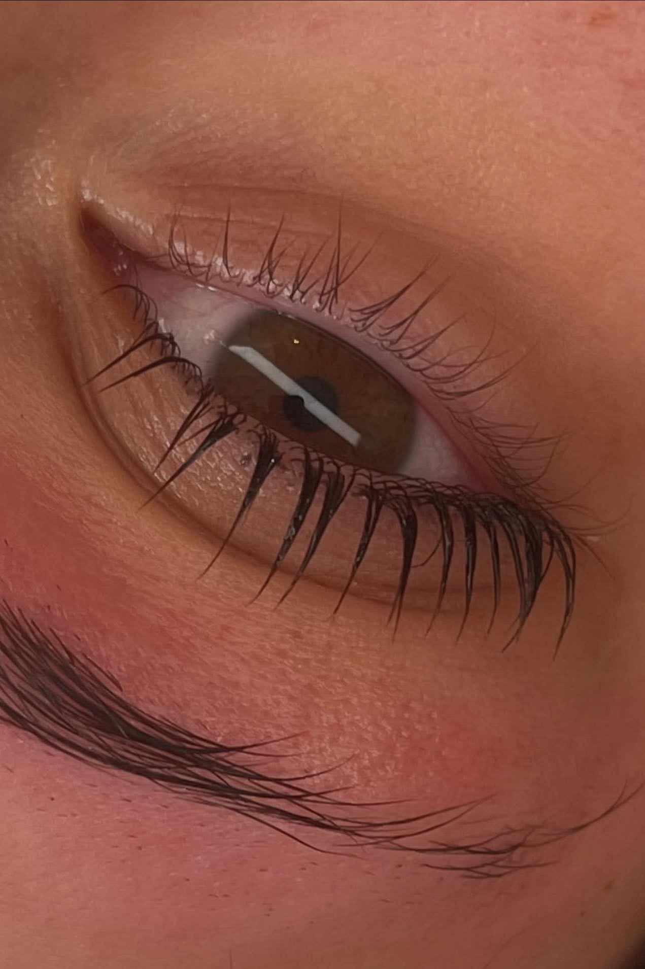 Flutter and Frame Lash & Brow Lamination Sachets – TGA