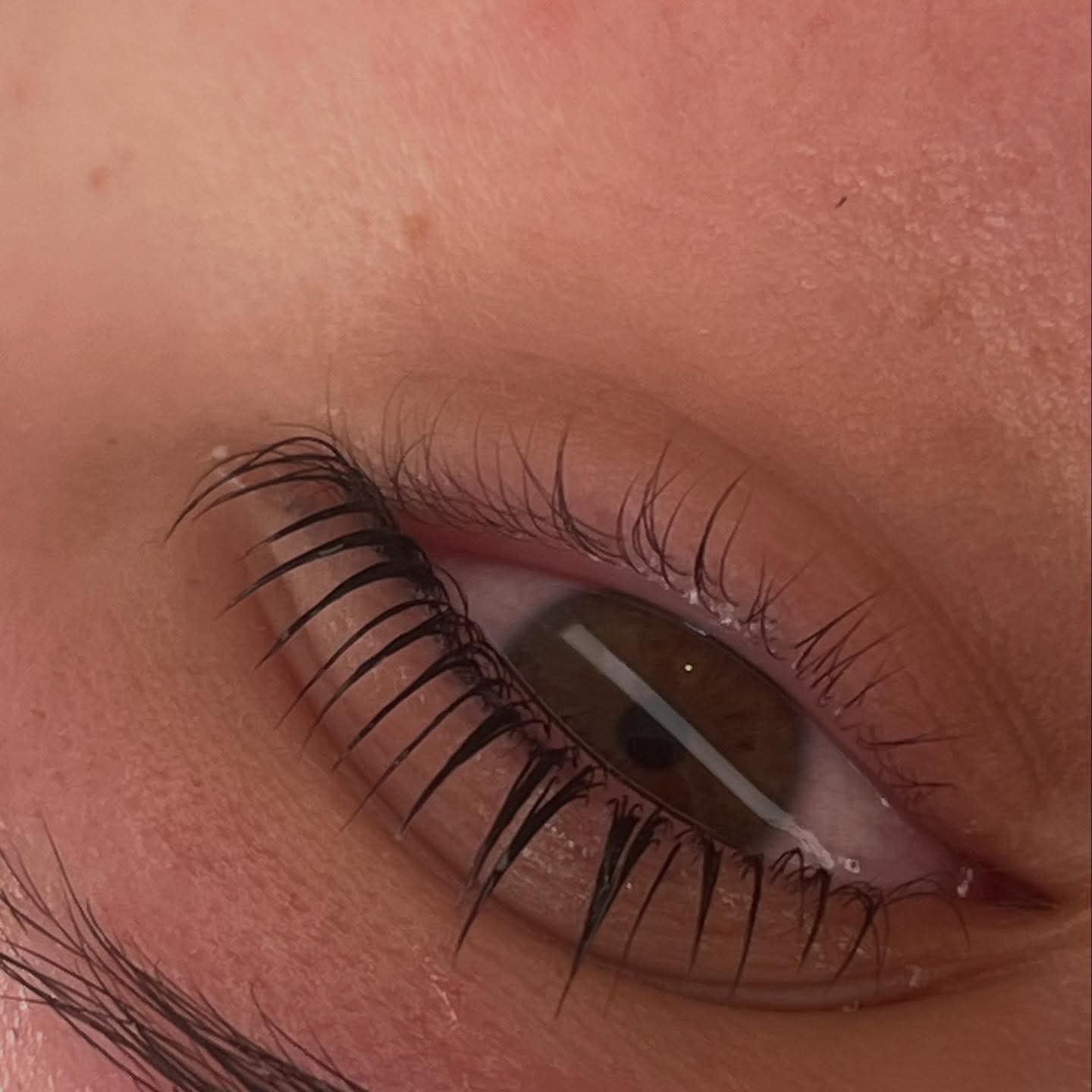 Flutter and Frame Lash & Brow Lamination Sachets – TGA