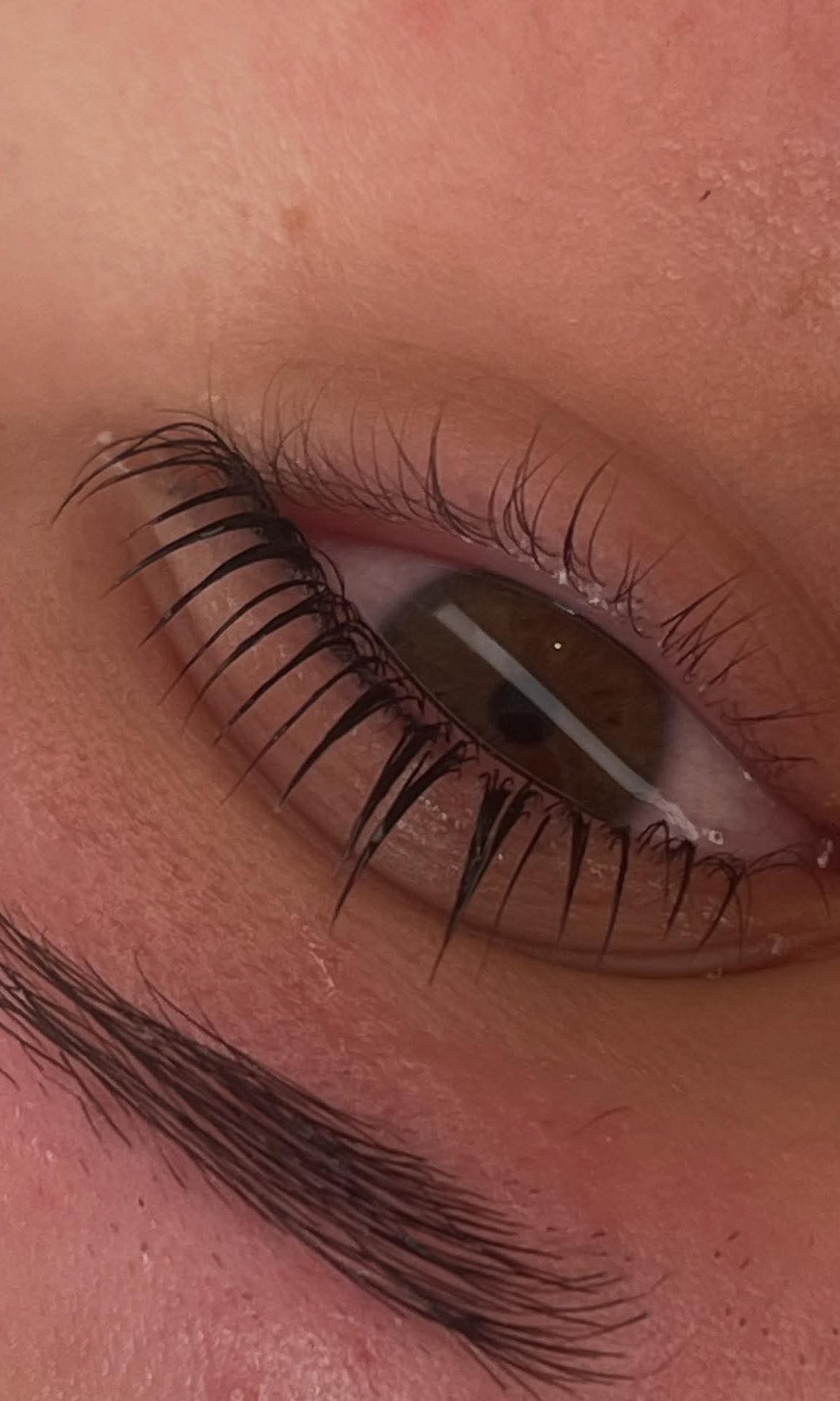 Flutter and Frame Lash & Brow Lamination Sachets – TGA