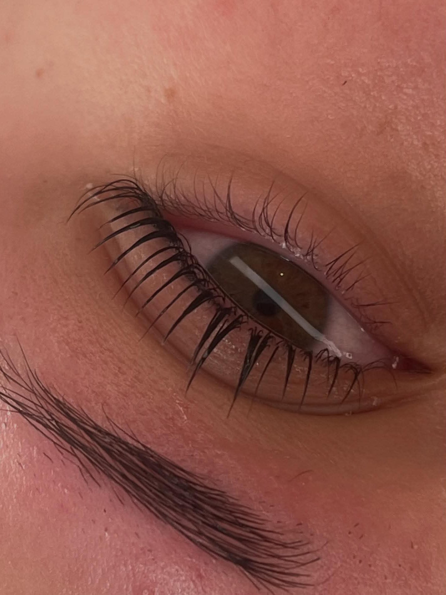 Flutter and Frame Lash & Brow Lamination Sachets – TGA