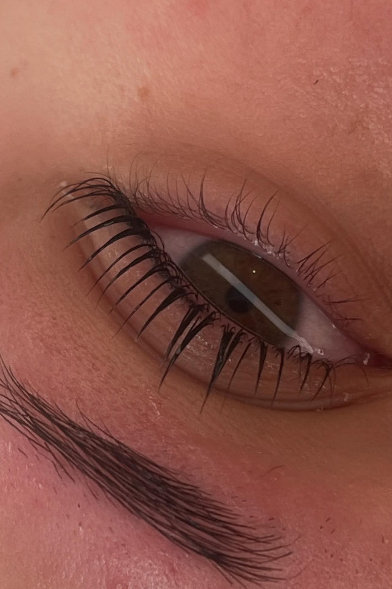 Flutter and Frame Lash & Brow Lamination Sachets – TGA