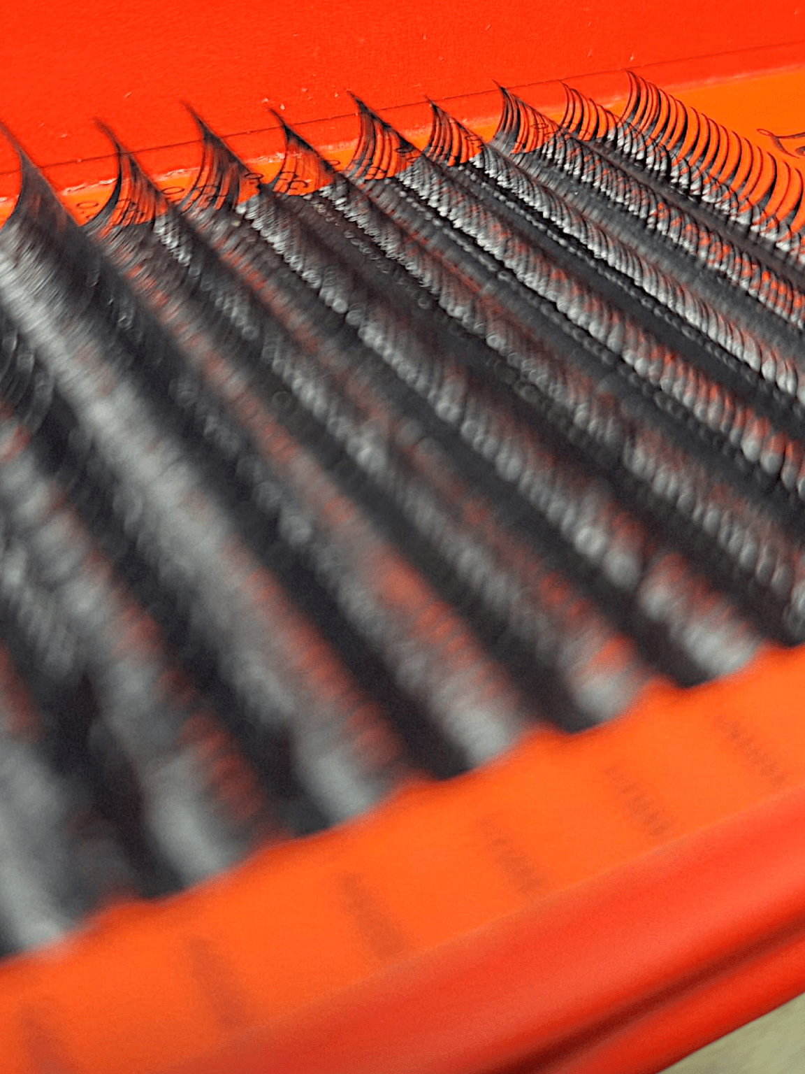 ladybuglashes lashglue lashtrays lashadhesive glueretention cloverlashes wlashes yylashes premades promades lashes