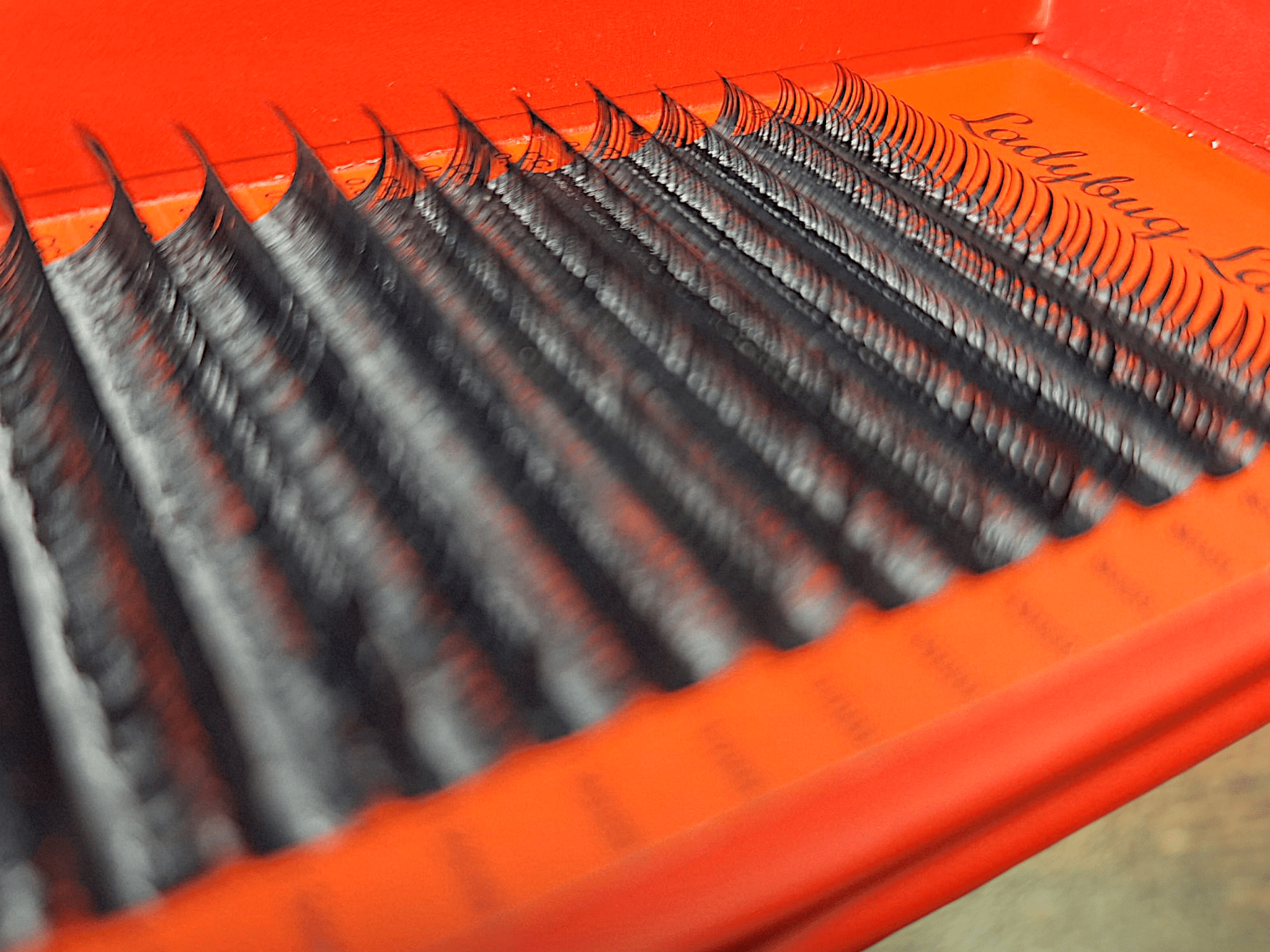 ladybuglashes lashglue lashtrays lashadhesive glueretention cloverlashes wlashes yylashes premades promades lashes