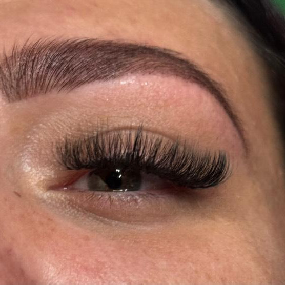 10D Clover Lashes 16 row mixed box