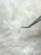 ladybuglashes lashglue lashtrays lashadhesive glueretention cloverlashes wlashes yylashes premades promades lashes