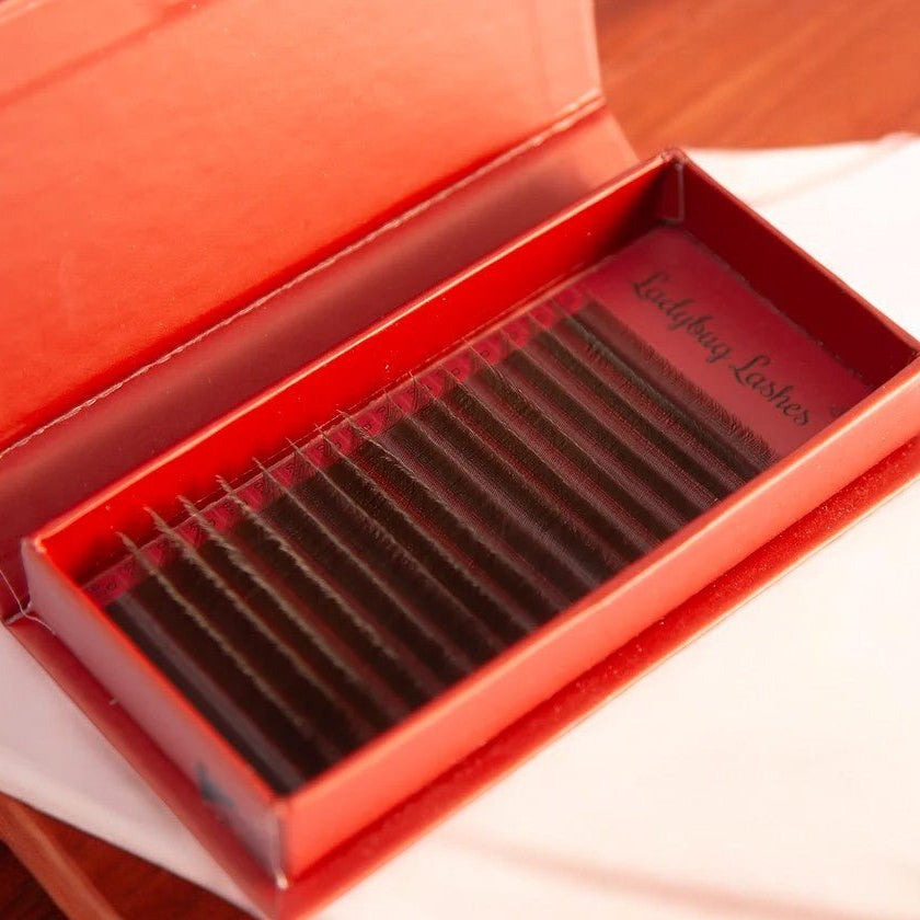 ladybuglashes lashglue lashtrays lashadhesive glueretention cloverlashes wlashes yylashes premades promades lashes