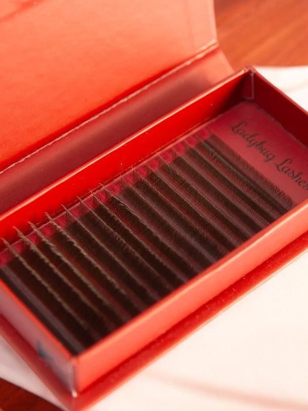 ladybuglashes lashglue lashtrays lashadhesive glueretention cloverlashes wlashes yylashes premades promades lashes