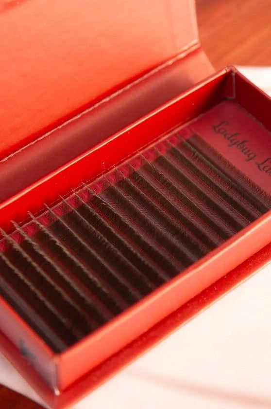 ladybuglashes lashglue lashtrays lashadhesive glueretention cloverlashes wlashes yylashes premades promades lashes