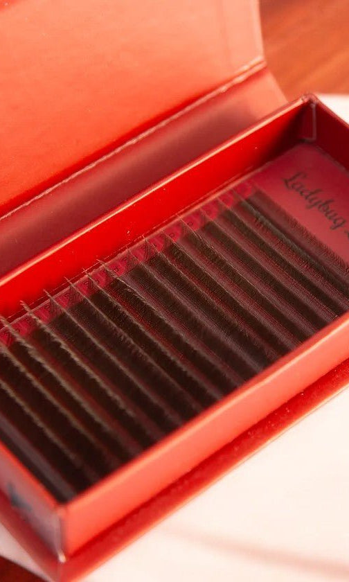 ladybuglashes lashglue lashtrays lashadhesive glueretention cloverlashes wlashes yylashes premades promades lashes