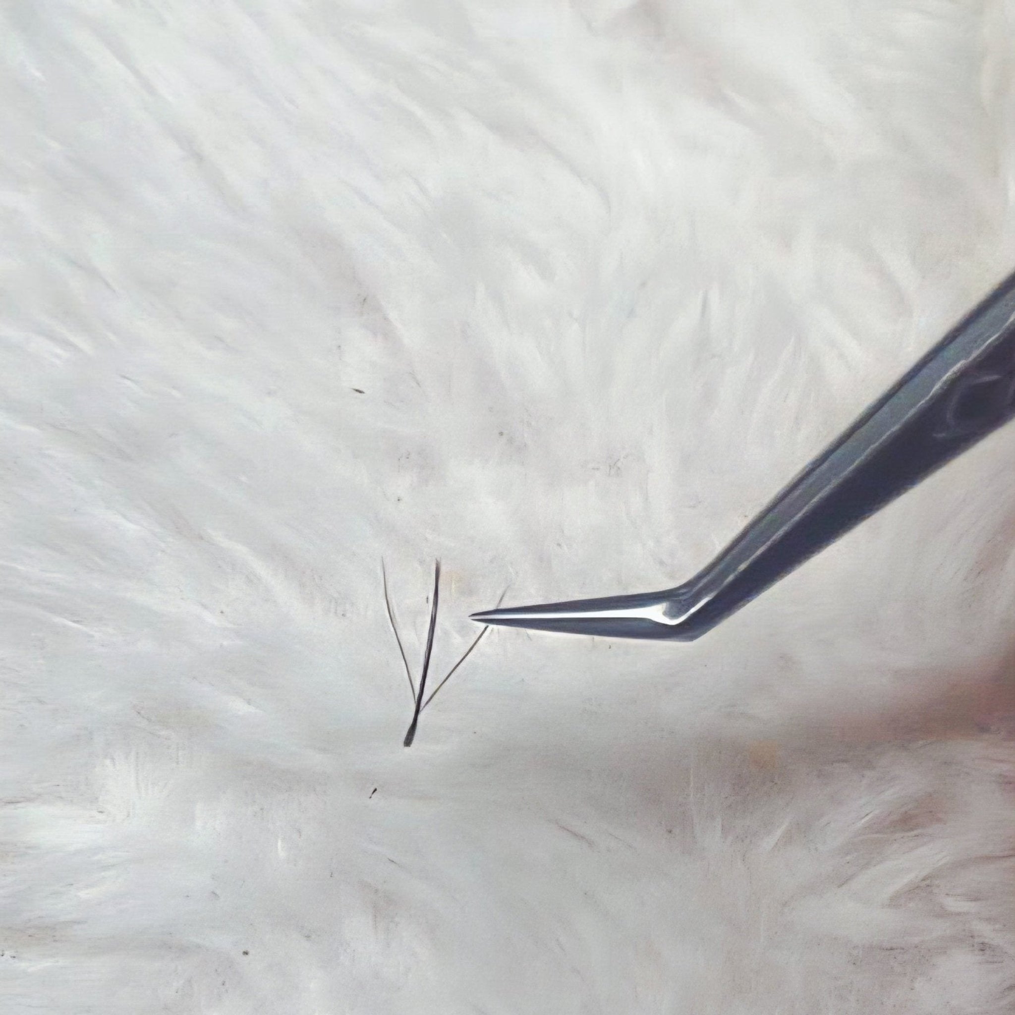 ladybuglashes lashglue lashtrays lashadhesive glueretention cloverlashes wlashes yylashes premades promades lashes