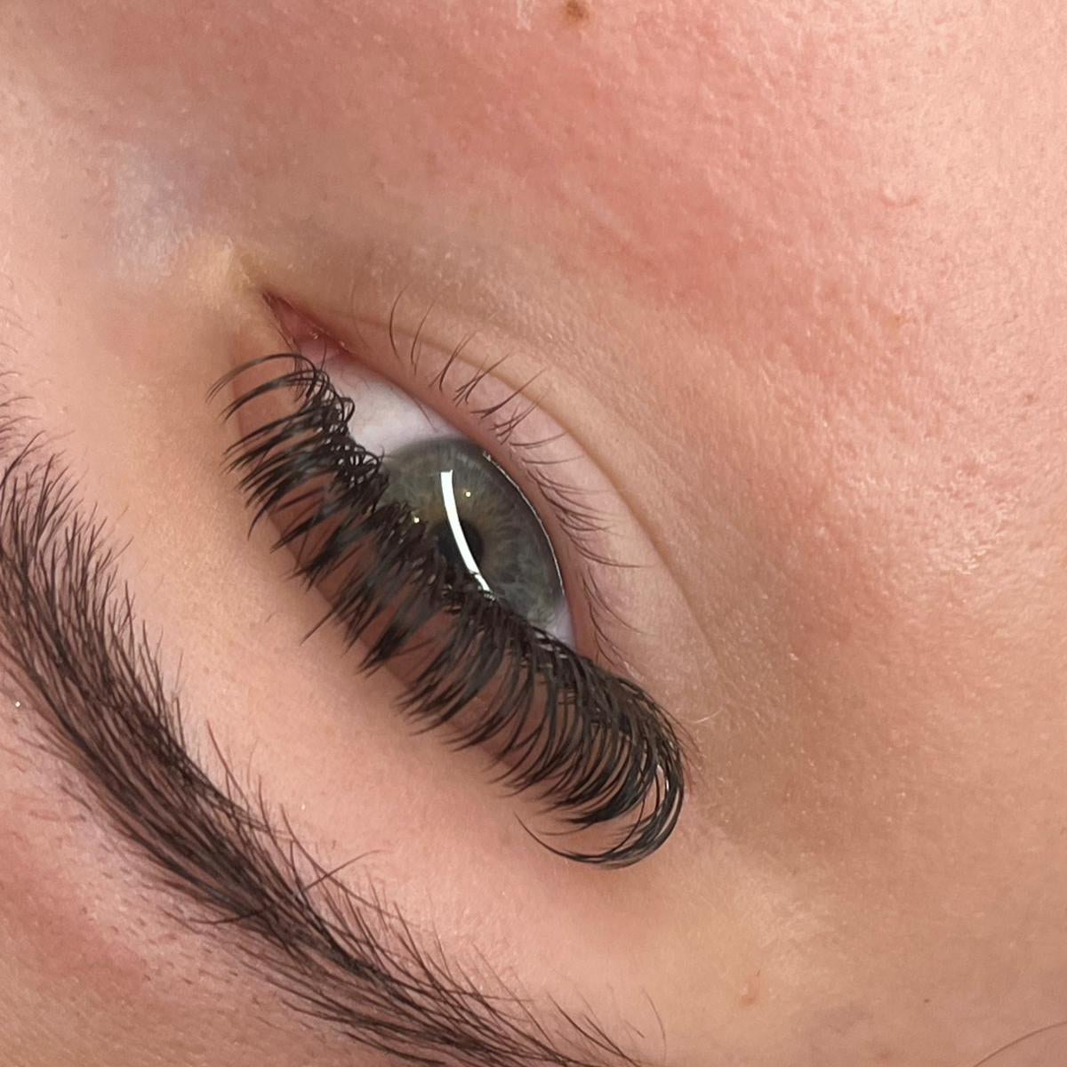 ladybuglashes lashglue lashtrays lashadhesive glueretention cloverlashes wlashes yylashes premades promades lashes