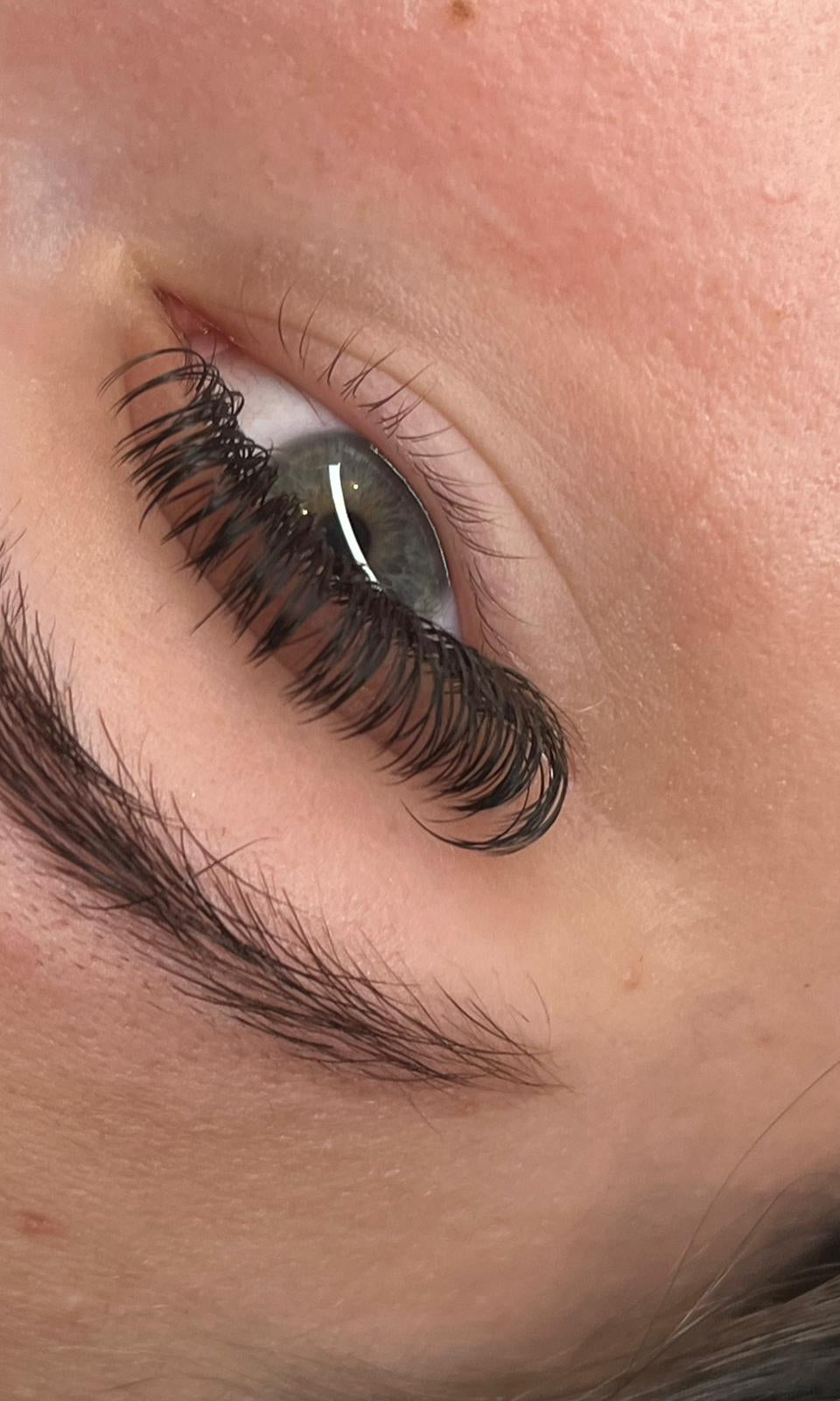 ladybuglashes lashglue lashtrays lashadhesive glueretention cloverlashes wlashes yylashes premades promades lashes