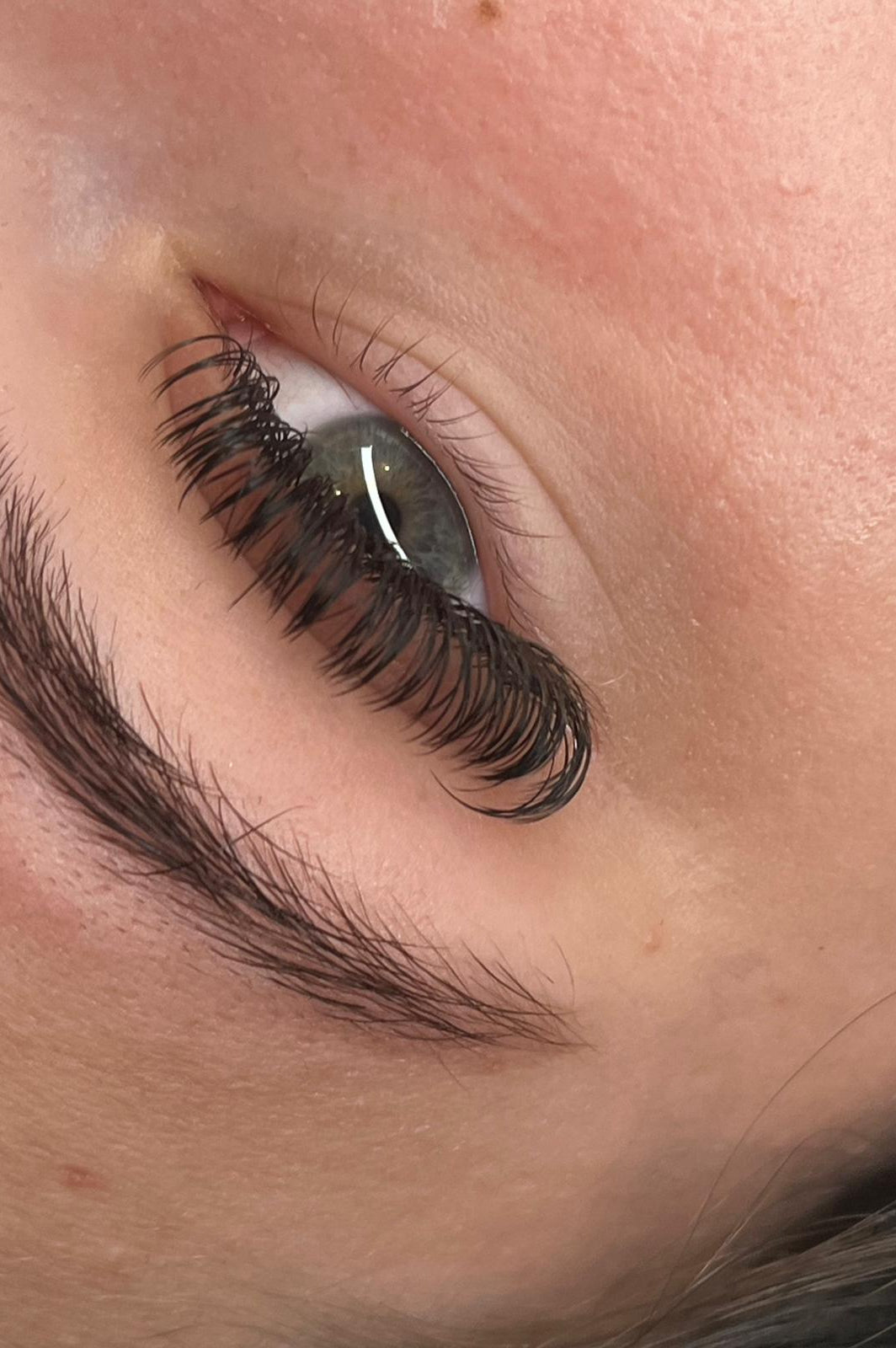 ladybuglashes lashglue lashtrays lashadhesive glueretention cloverlashes wlashes yylashes premades promades lashes