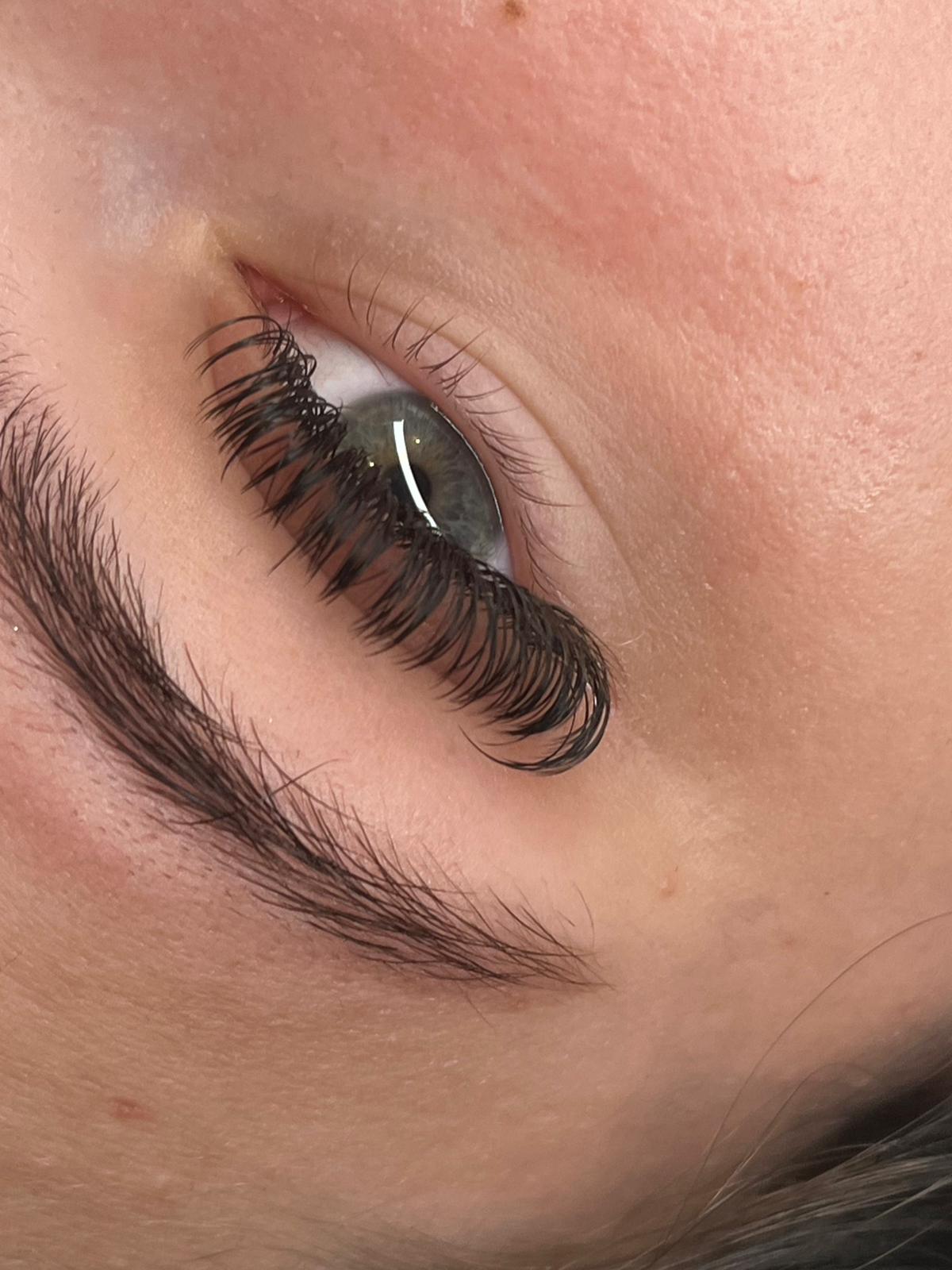 ladybuglashes lashglue lashtrays lashadhesive glueretention cloverlashes wlashes yylashes premades promades lashes