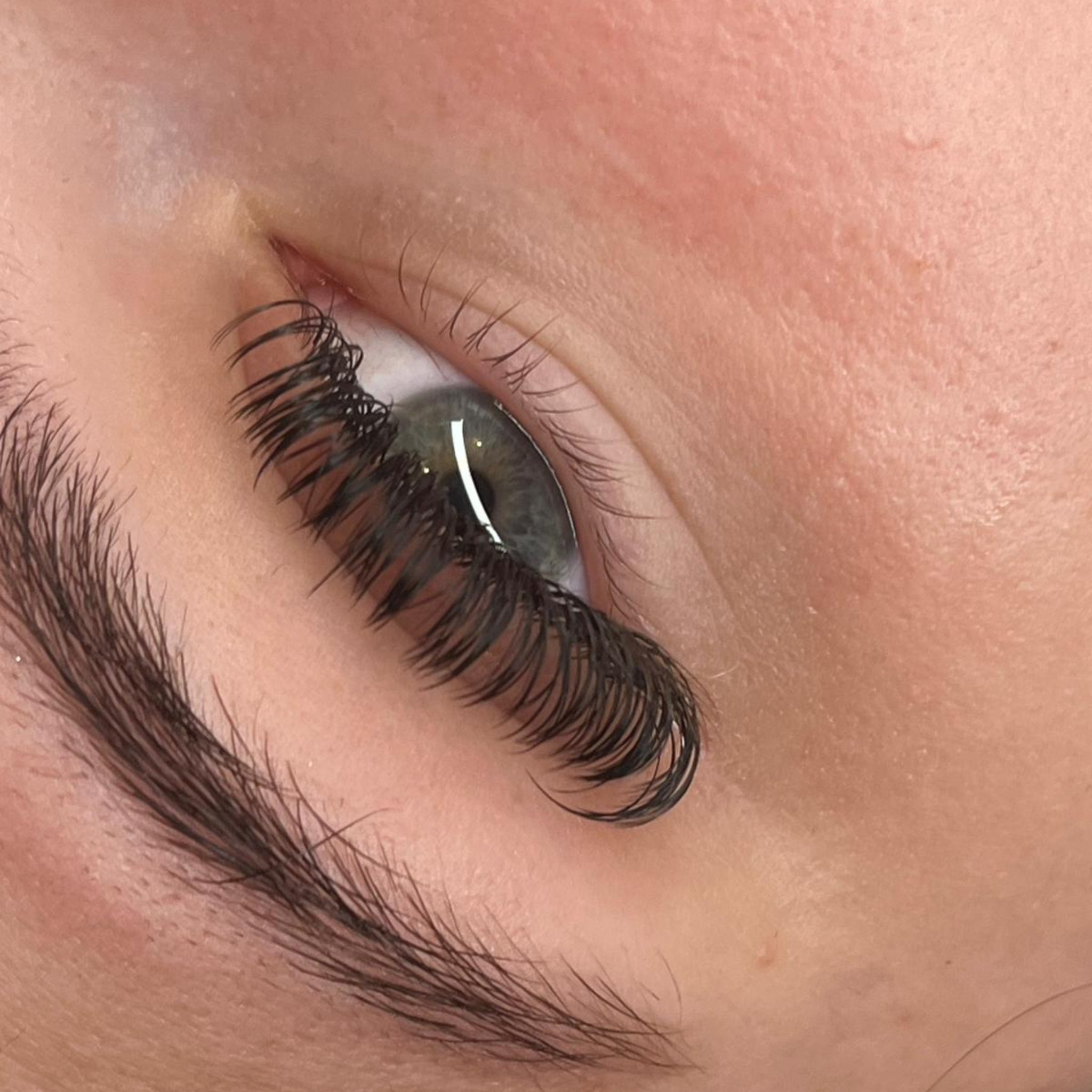 ladybuglashes lashglue lashtrays lashadhesive glueretention cloverlashes wlashes yylashes premades promades lashes