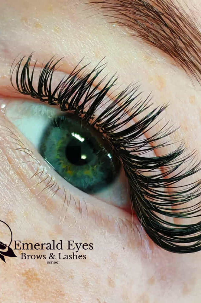 ladybuglashes lashglue lashtrays lashadhesive glueretention cloverlashes wlashes yylashes premades promades lashes