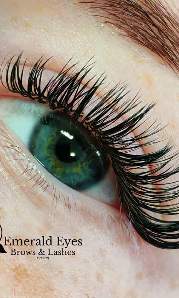 ladybuglashes lashglue lashtrays lashadhesive glueretention cloverlashes wlashes yylashes premades promades lashes