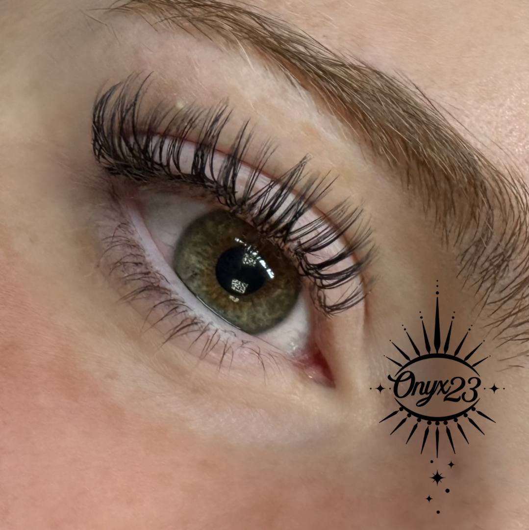 ladybuglashes lashglue lashtrays lashadhesive glueretention cloverlashes wlashes yylashes premades promades lashes