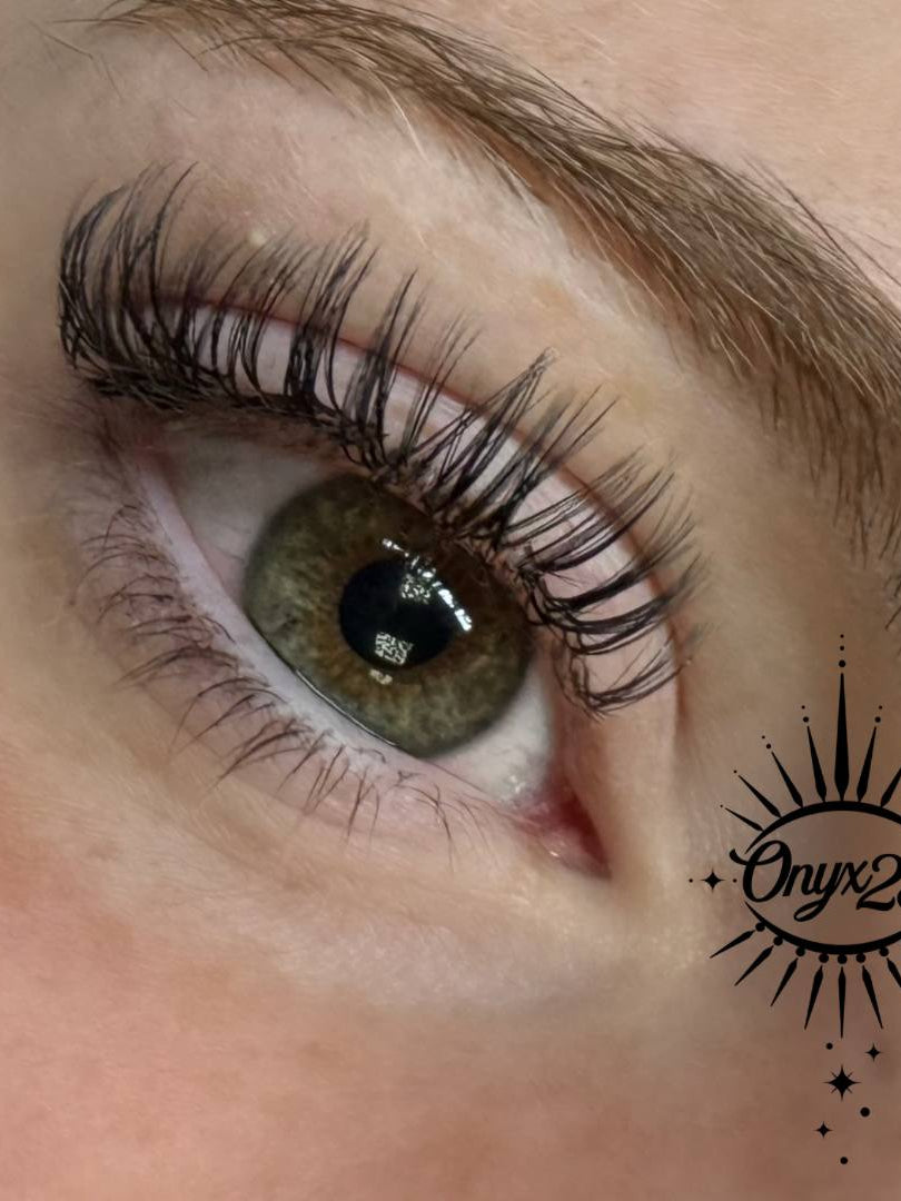 ladybuglashes lashglue lashtrays lashadhesive glueretention cloverlashes wlashes yylashes premades promades lashes