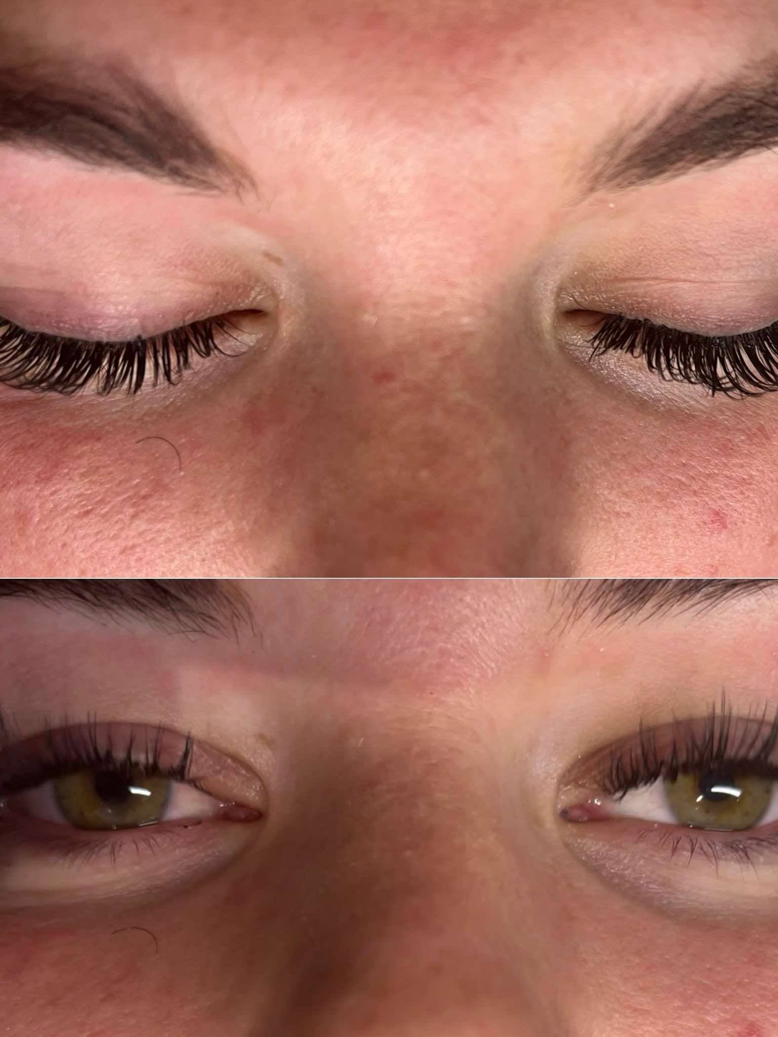 ladybuglashes lashglue lashtrays lashadhesive glueretention cloverlashes wlashes yylashes premades promades lashes