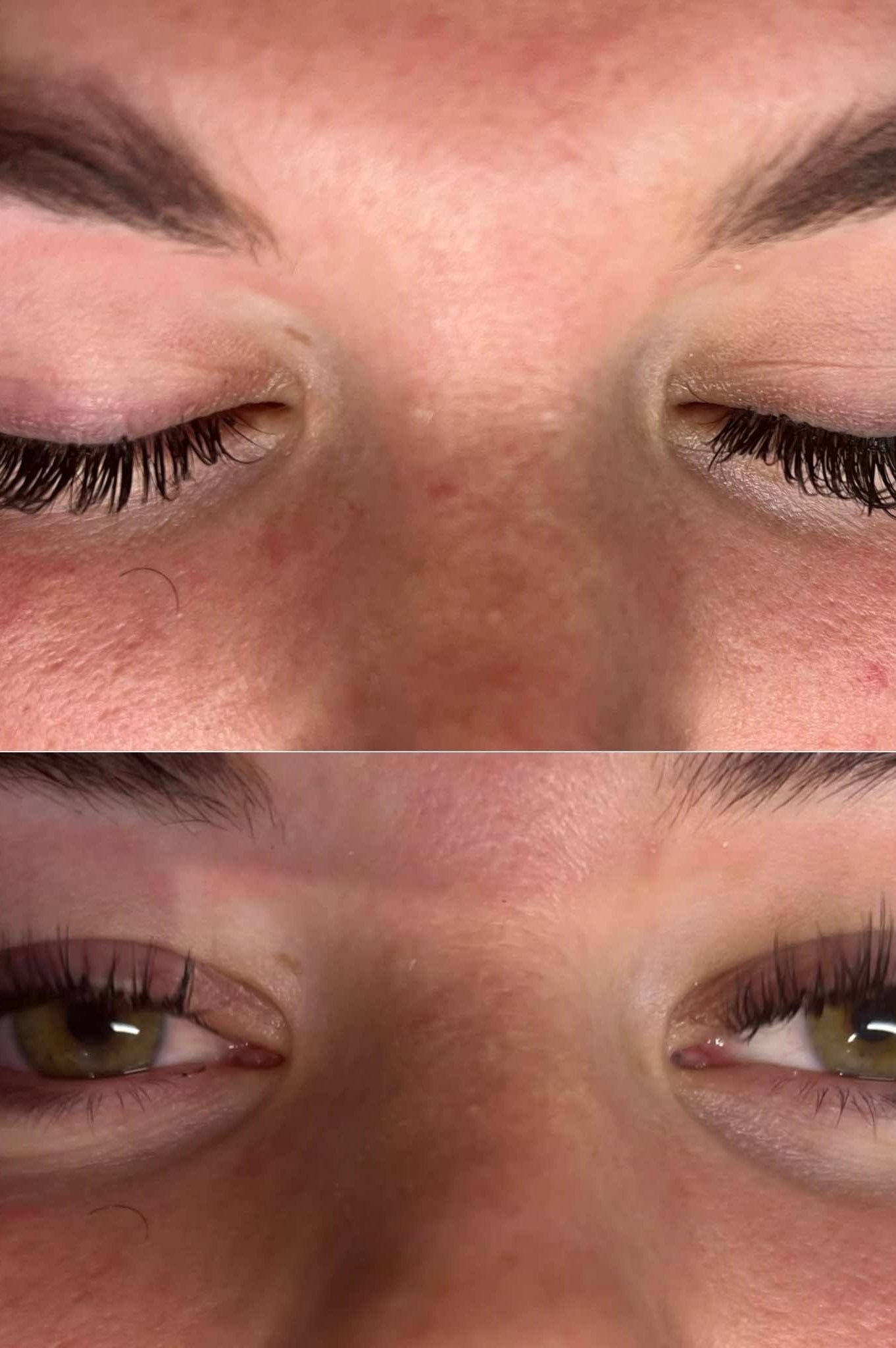 ladybuglashes lashglue lashtrays lashadhesive glueretention cloverlashes wlashes yylashes premades promades lashes