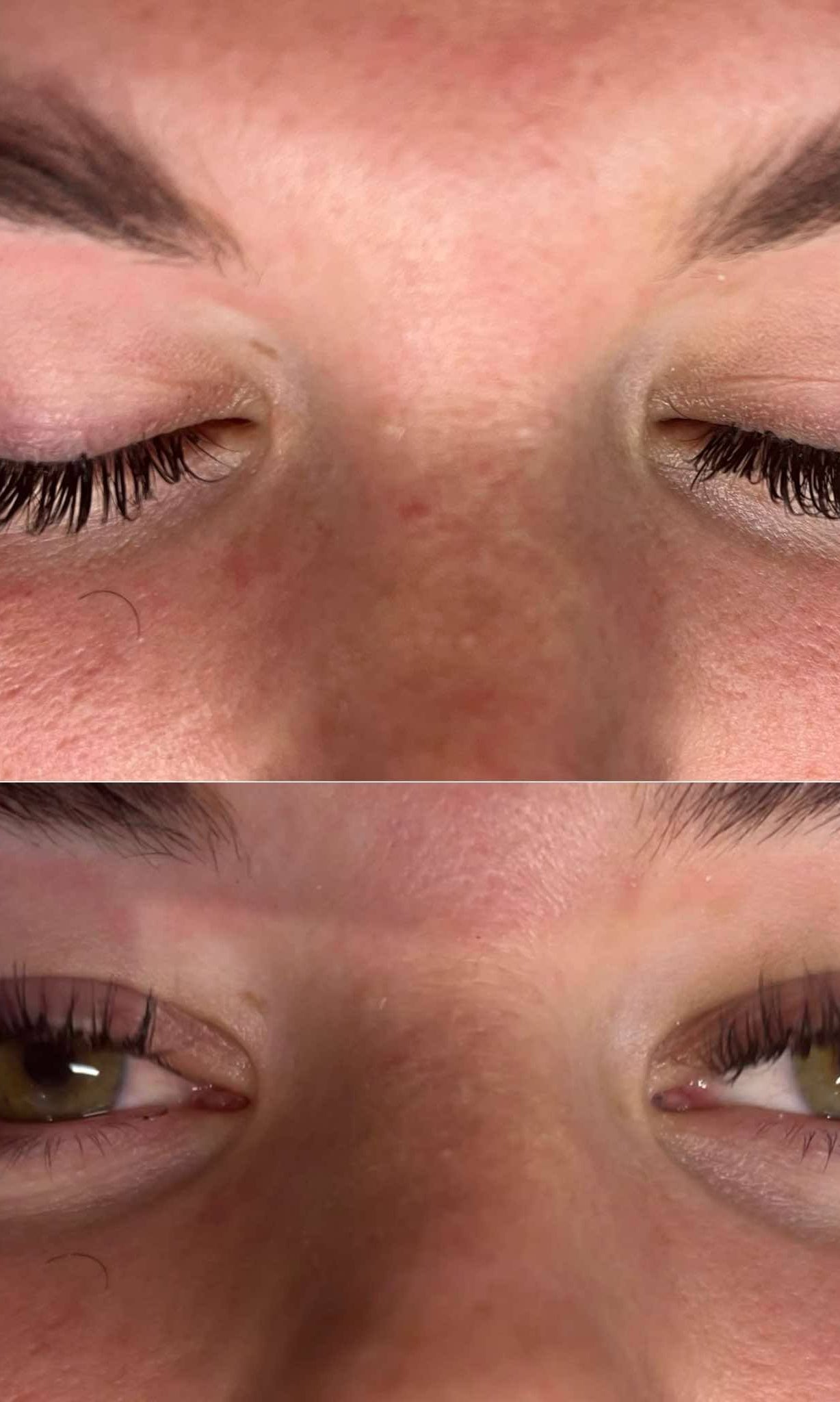 ladybuglashes lashglue lashtrays lashadhesive glueretention cloverlashes wlashes yylashes premades promades lashes